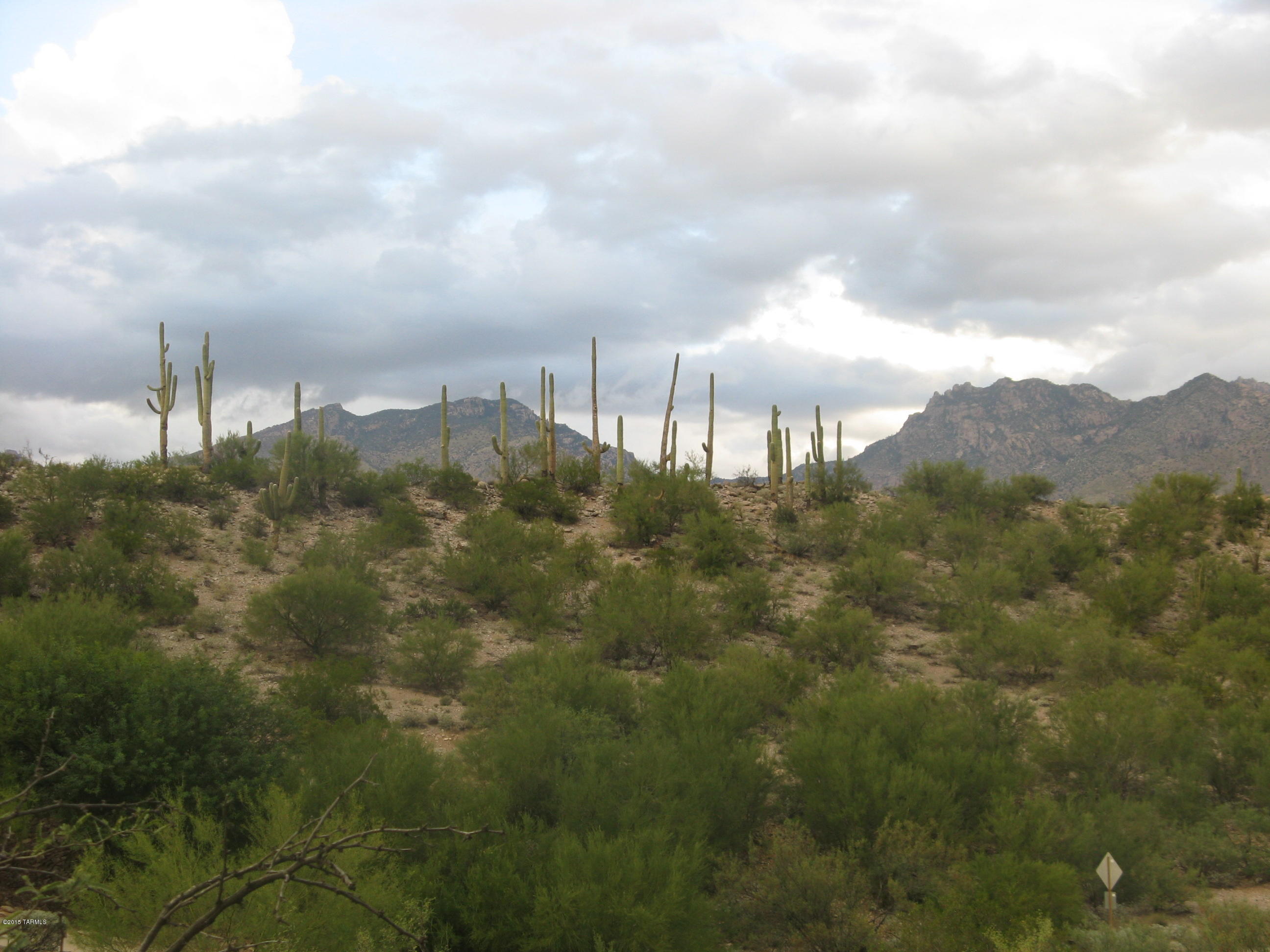 LOT 18.  One of FIVE Inexpensive lots available for the FIRST TIME!  A very unique, upscale 20-LOT COMMUNITY in the heart of the upper Catalina Foothills, Little Ridge sits in a TRANQUIL valley unto its own.  To appreciate the ease-of-build, PLEASE WALK UP FROM THE STREET about 50’ and be surprised to find more practical building areas than what you will think from your car. Possible bldg. areas marked with white PVC/orange flagging. ​SELLER FINANCING AVAILABLE!  ​Top of ridge is Natural Area and will be left UNTOUCHED for the pleasure of viewing the stunning saguaros and vegetation.  Each lot has its own personality of views, intimate settings and ‘feel’.  Septic required.  Also see MLS #’s 21528976, 21528977, 21529191 & 21528975.