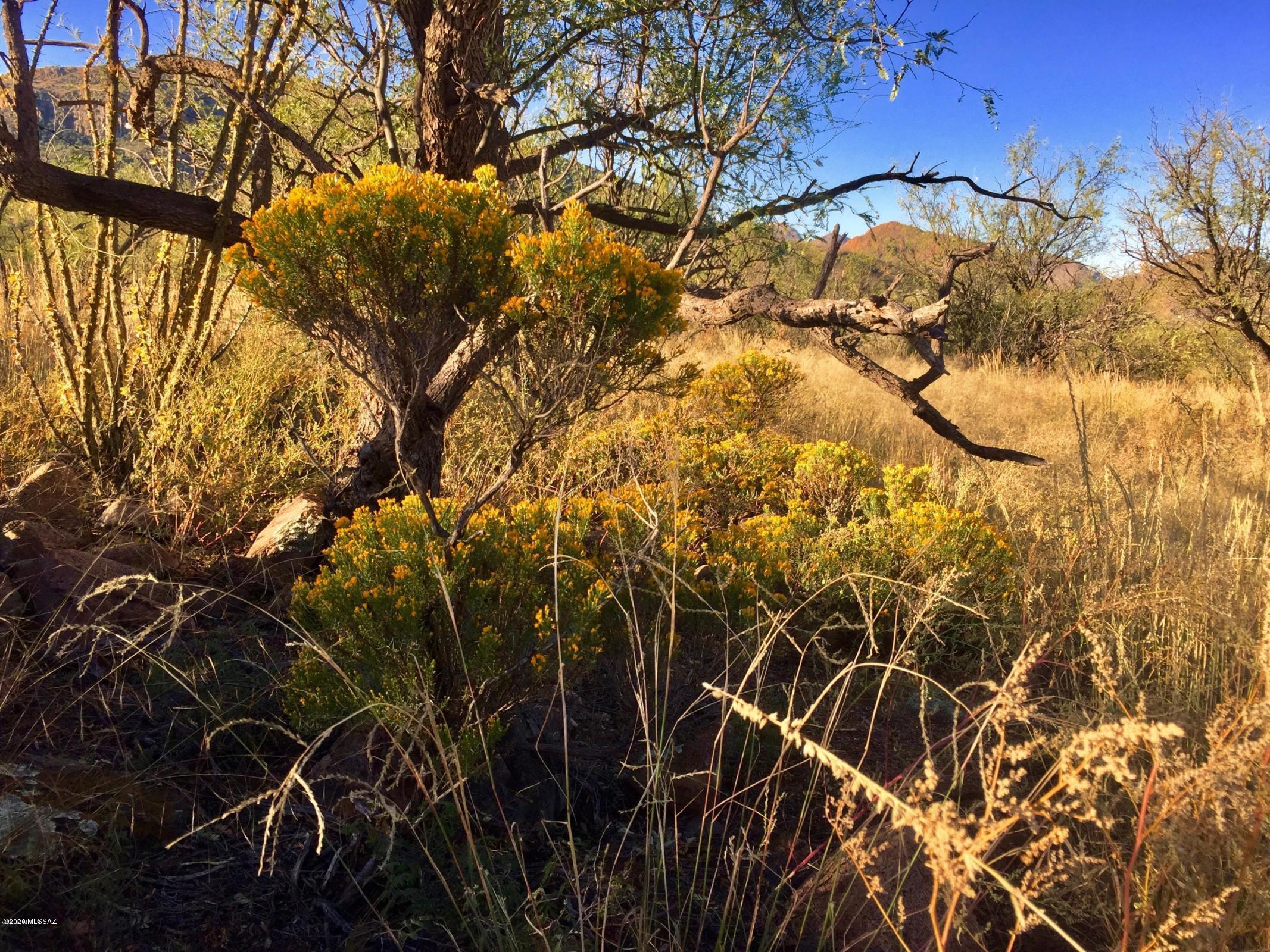 Salero Ranch - Land