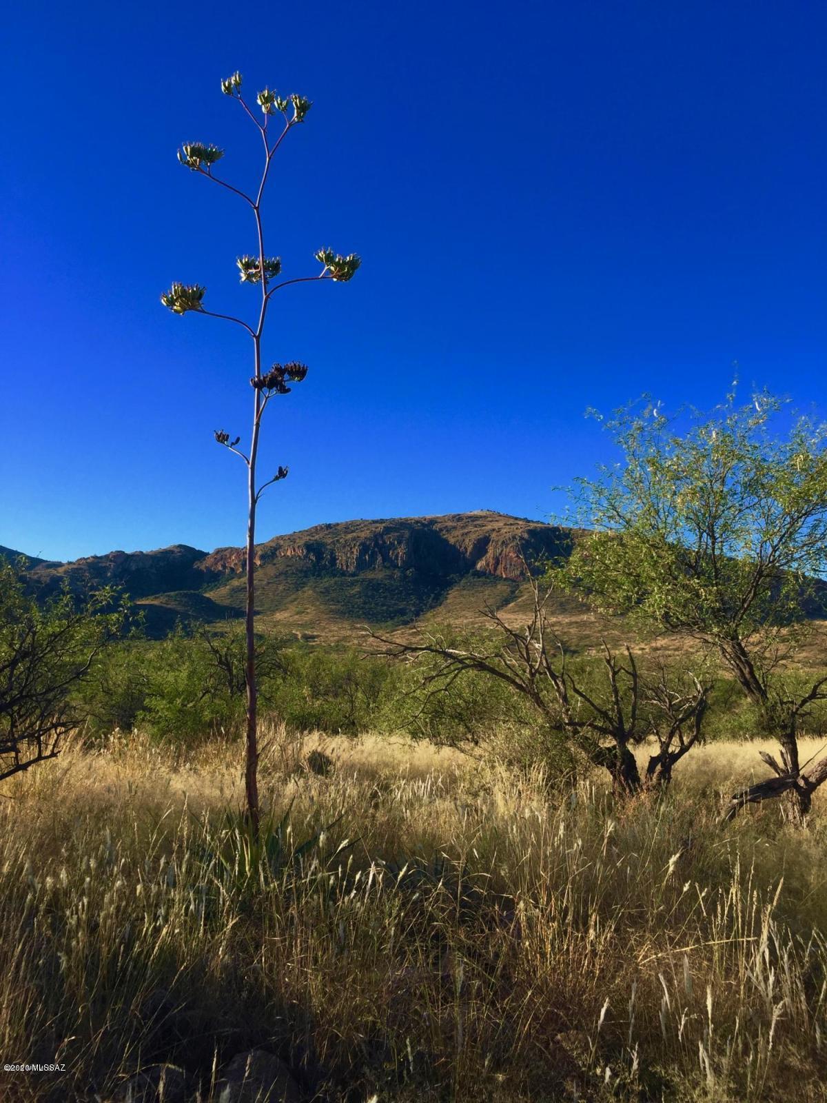 Salero Ranch - Land