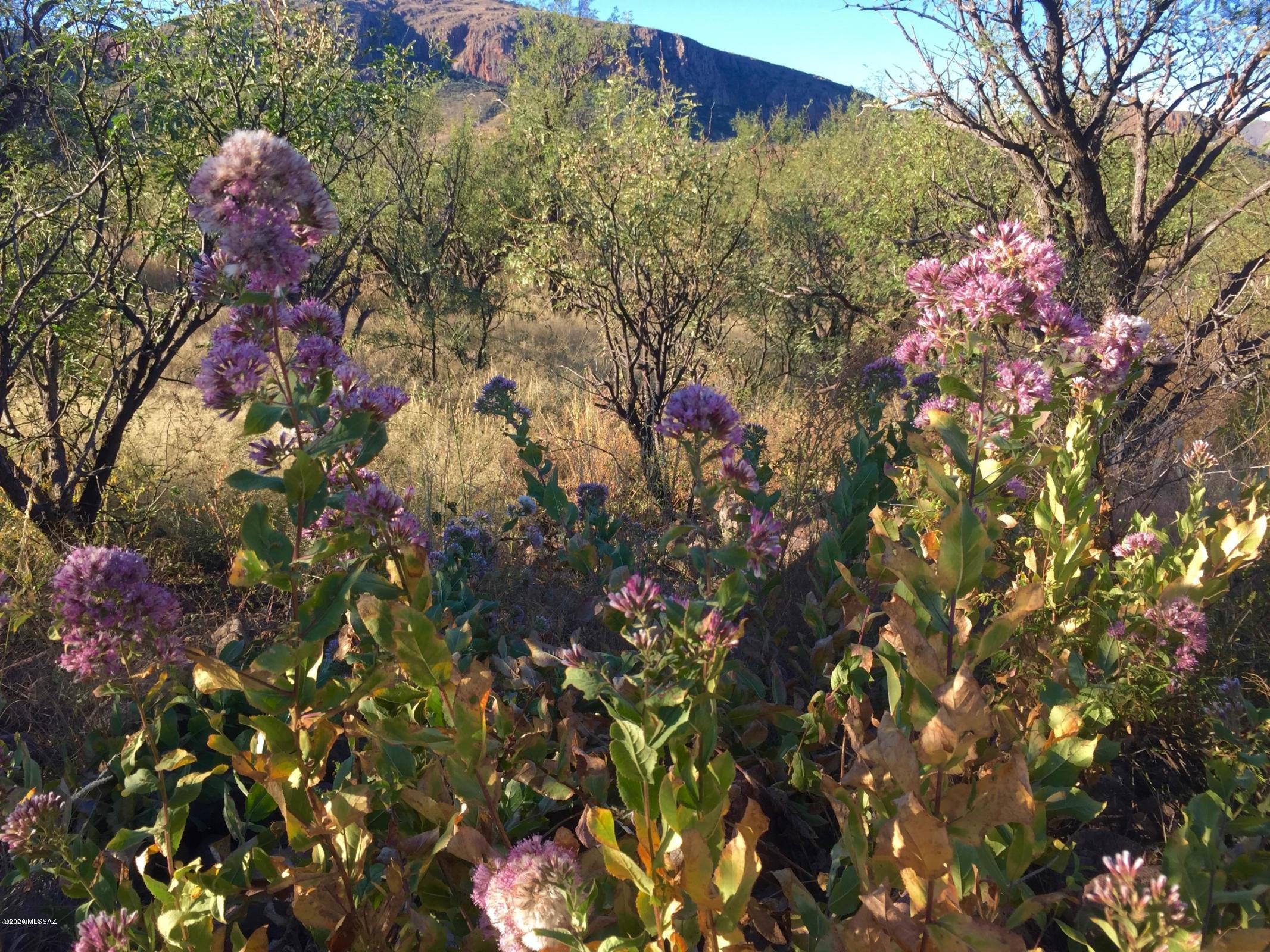 Salero Ranch - Land