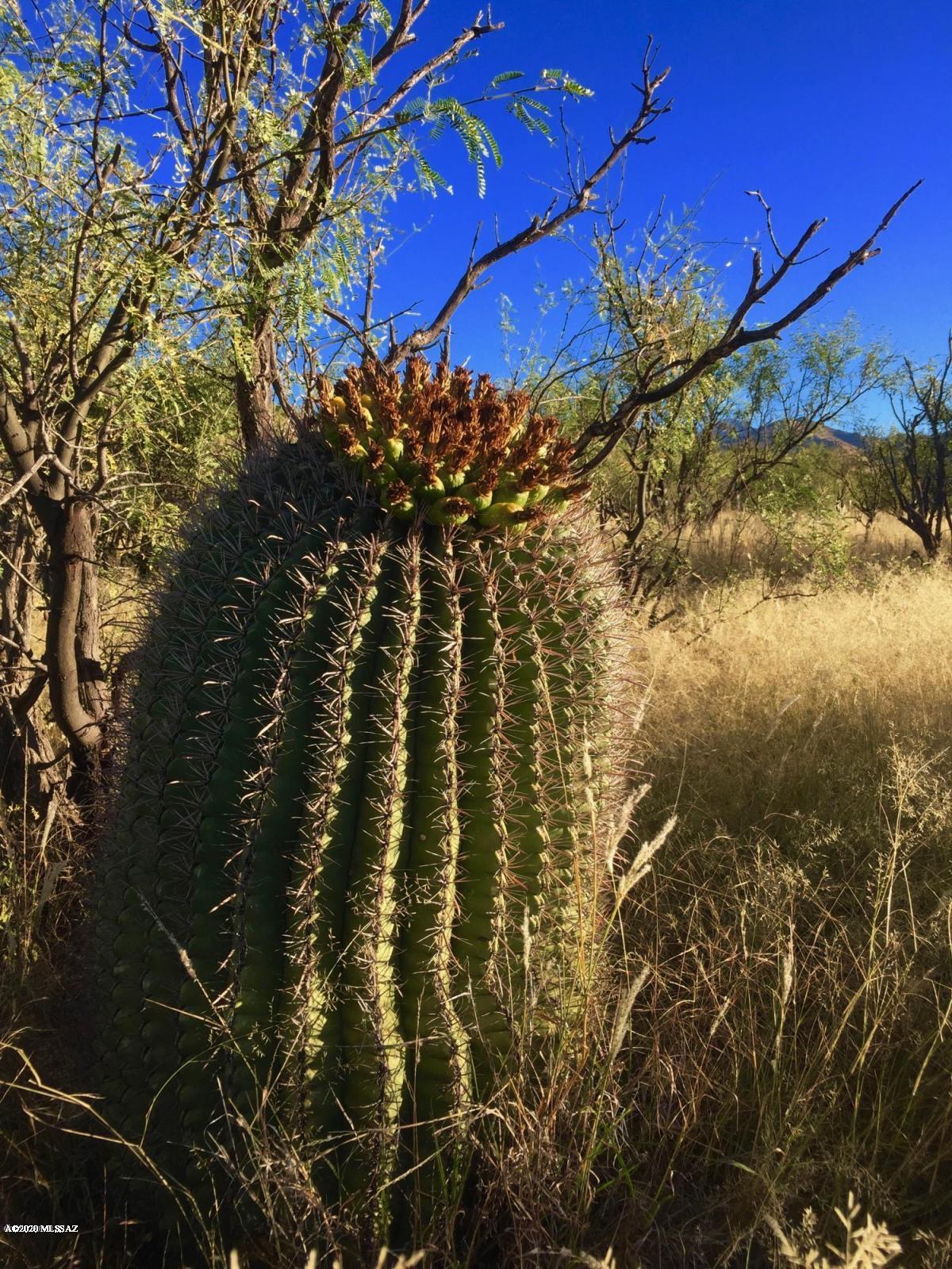 Salero Ranch - Land