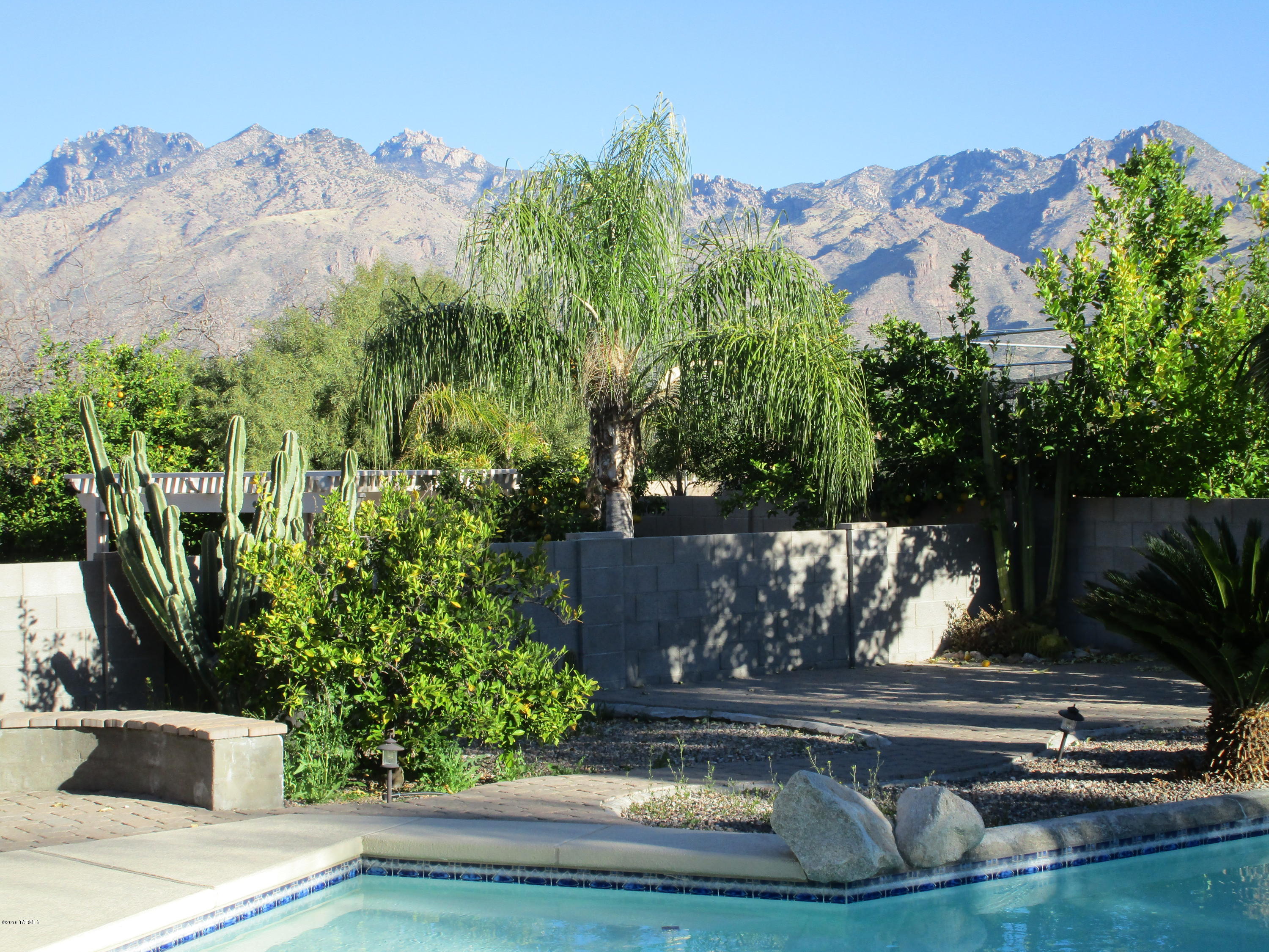 Shadows @ Sabino (1-103) - Residential