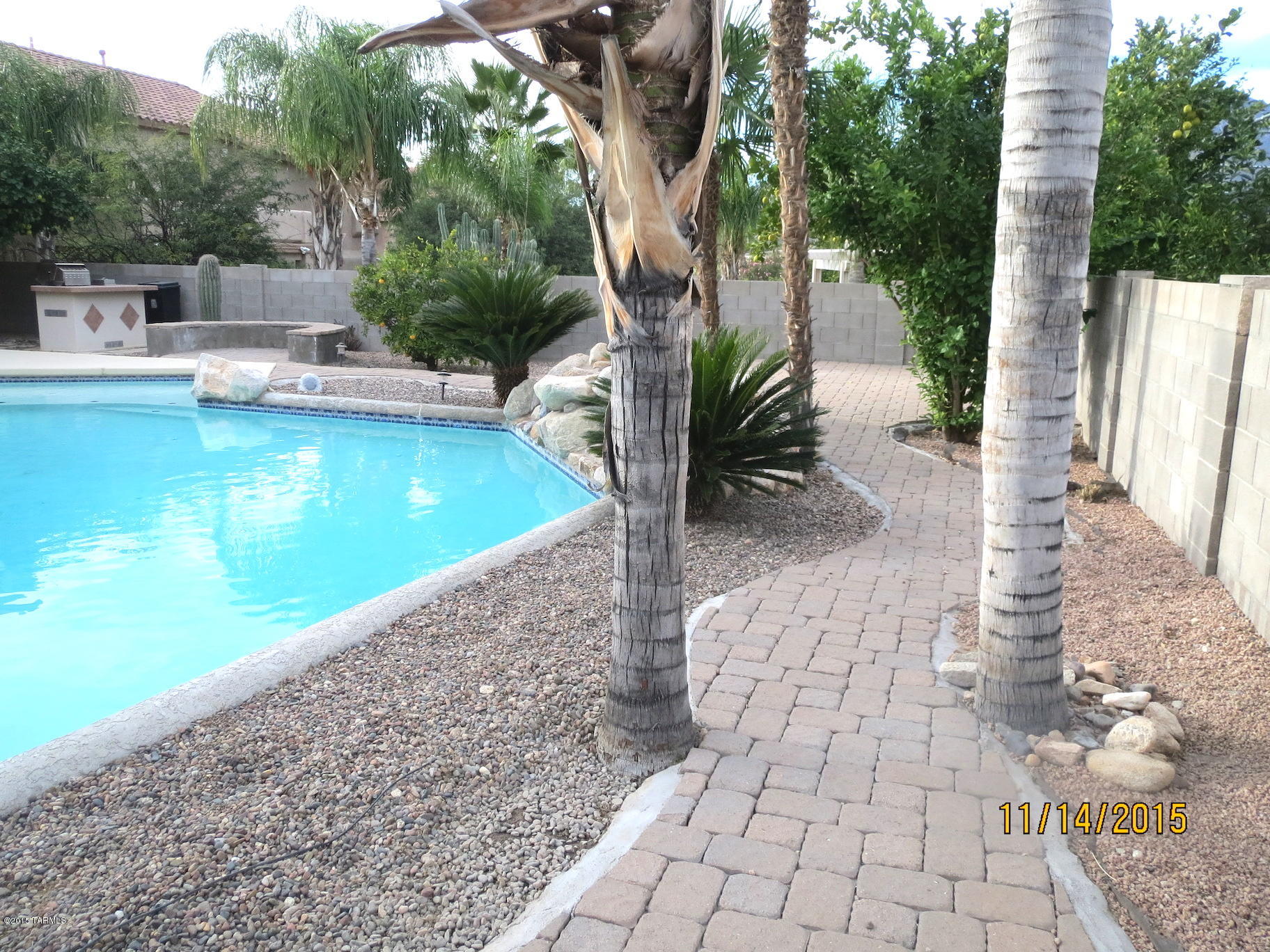 Shadows @ Sabino (1-103) - Residential