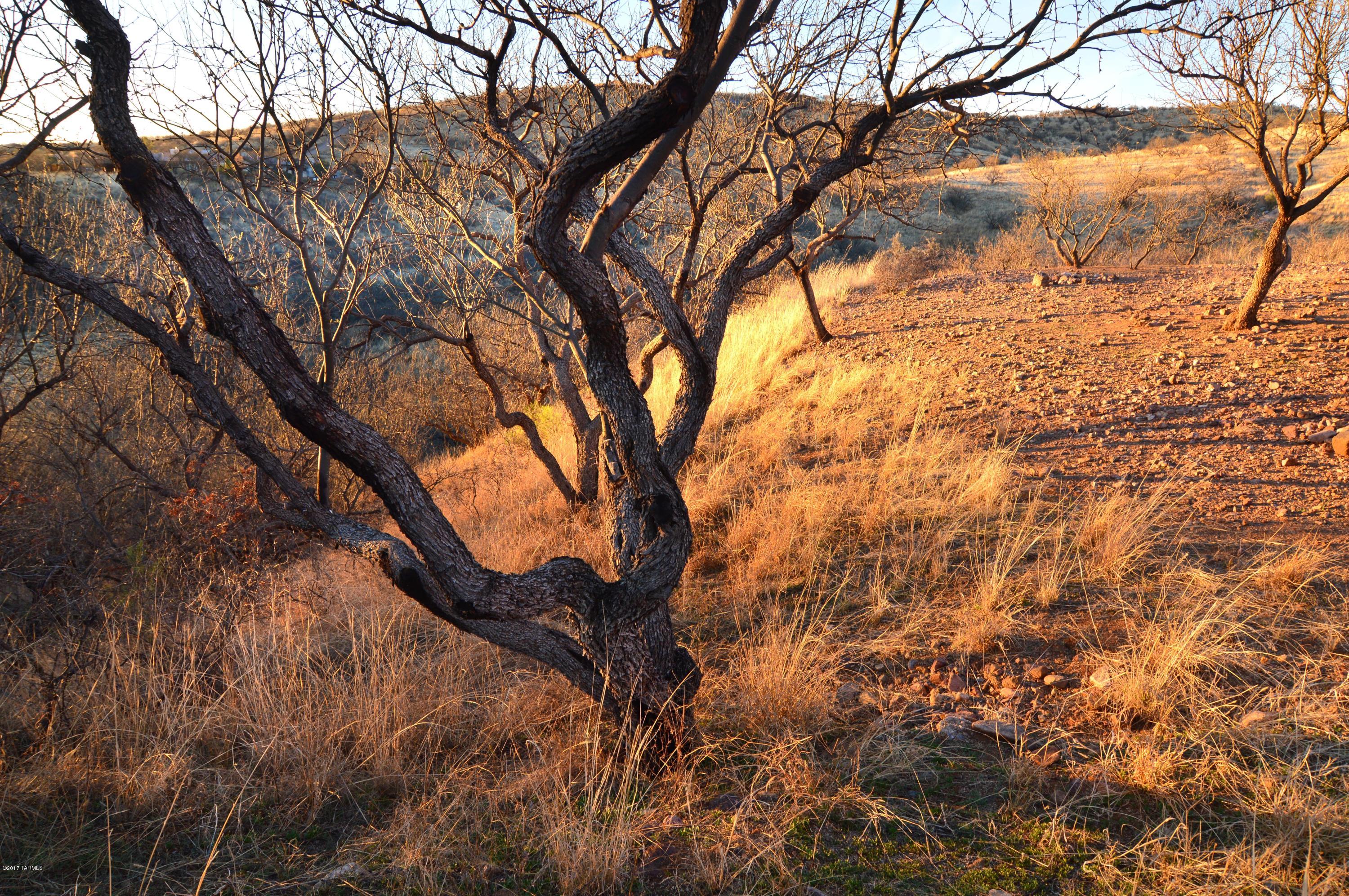 Redrock Acres - Residential