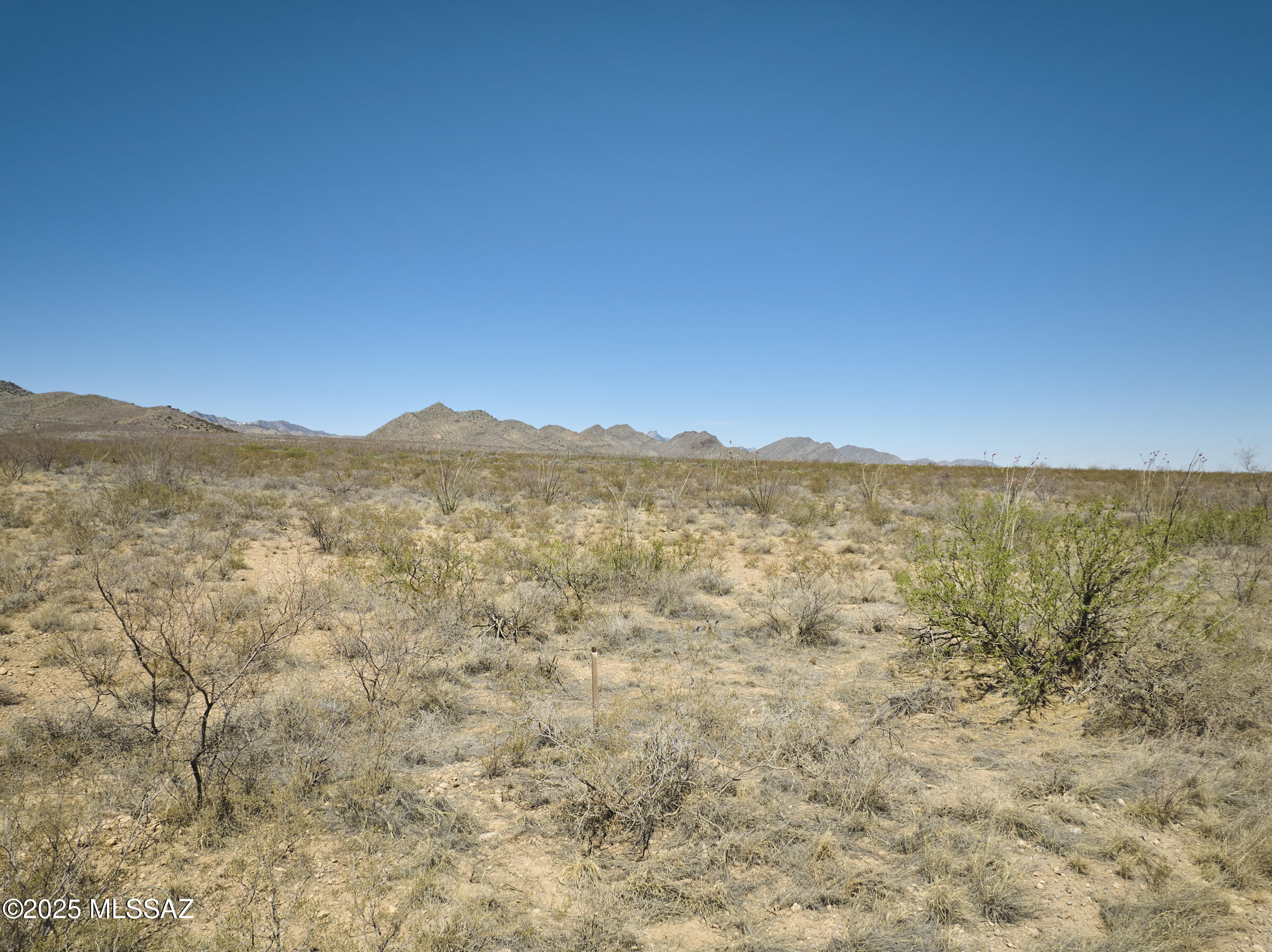 Out Of Pima County - Land