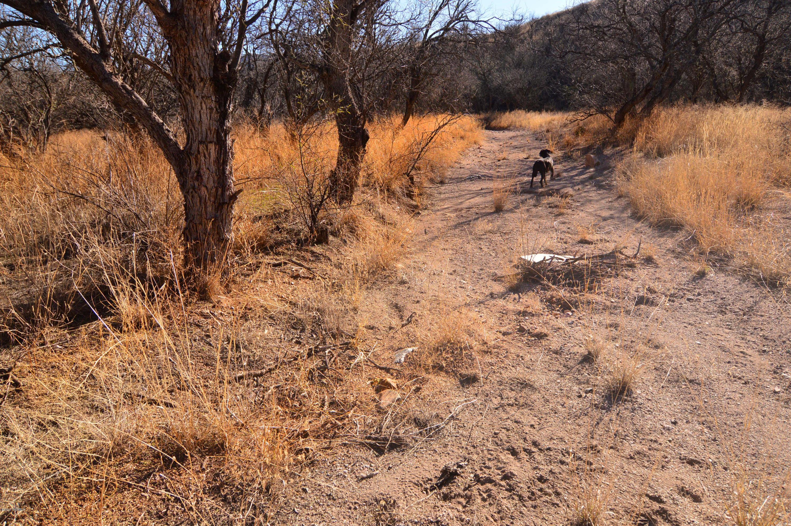 Out Of Pima County - Land