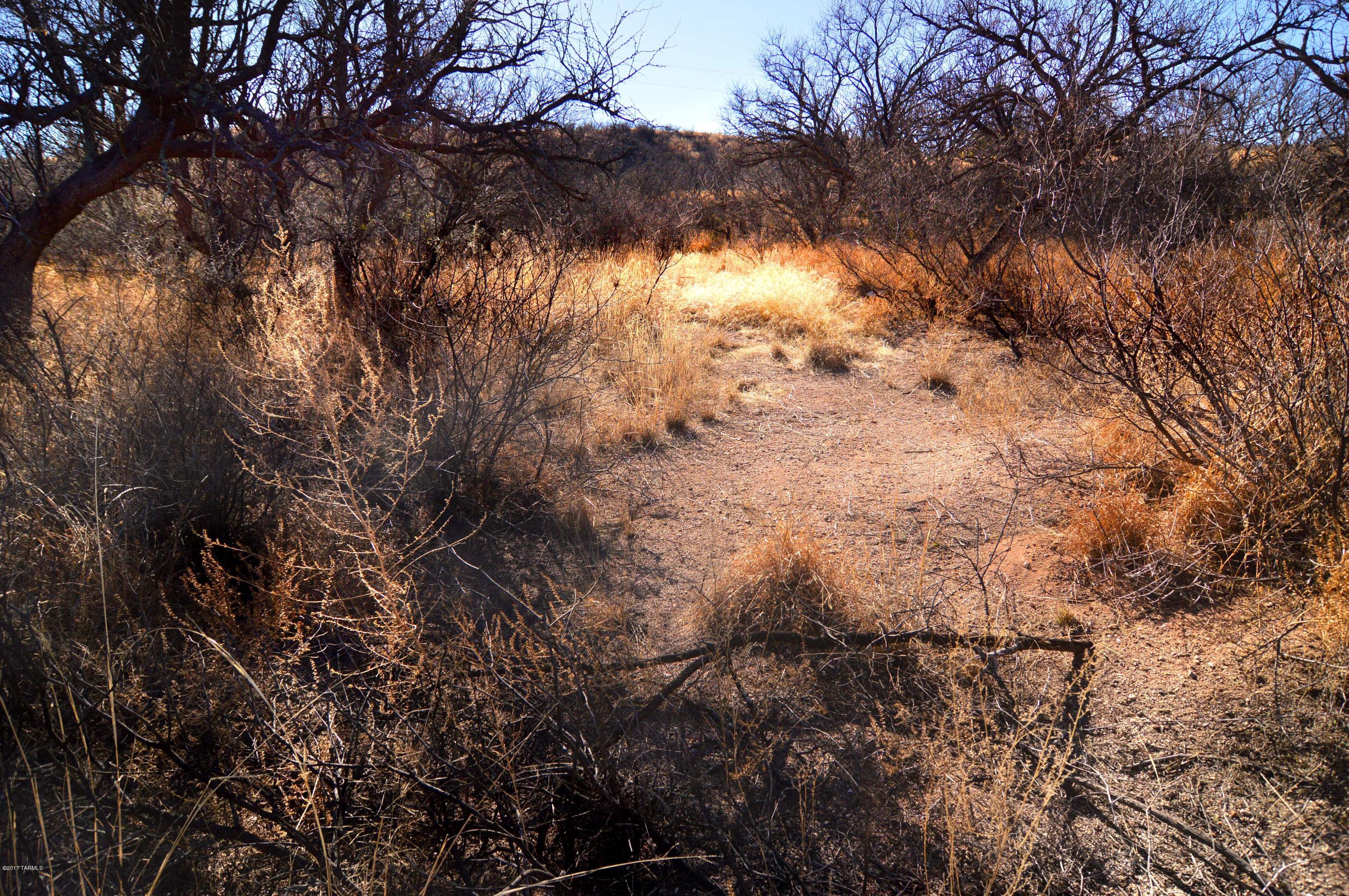 Out Of Pima County - Land
