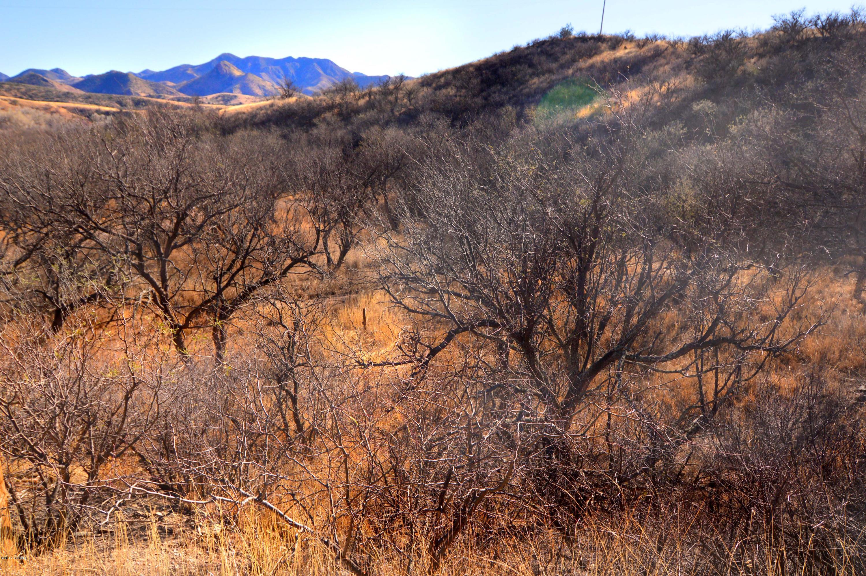 Out Of Pima County - Land