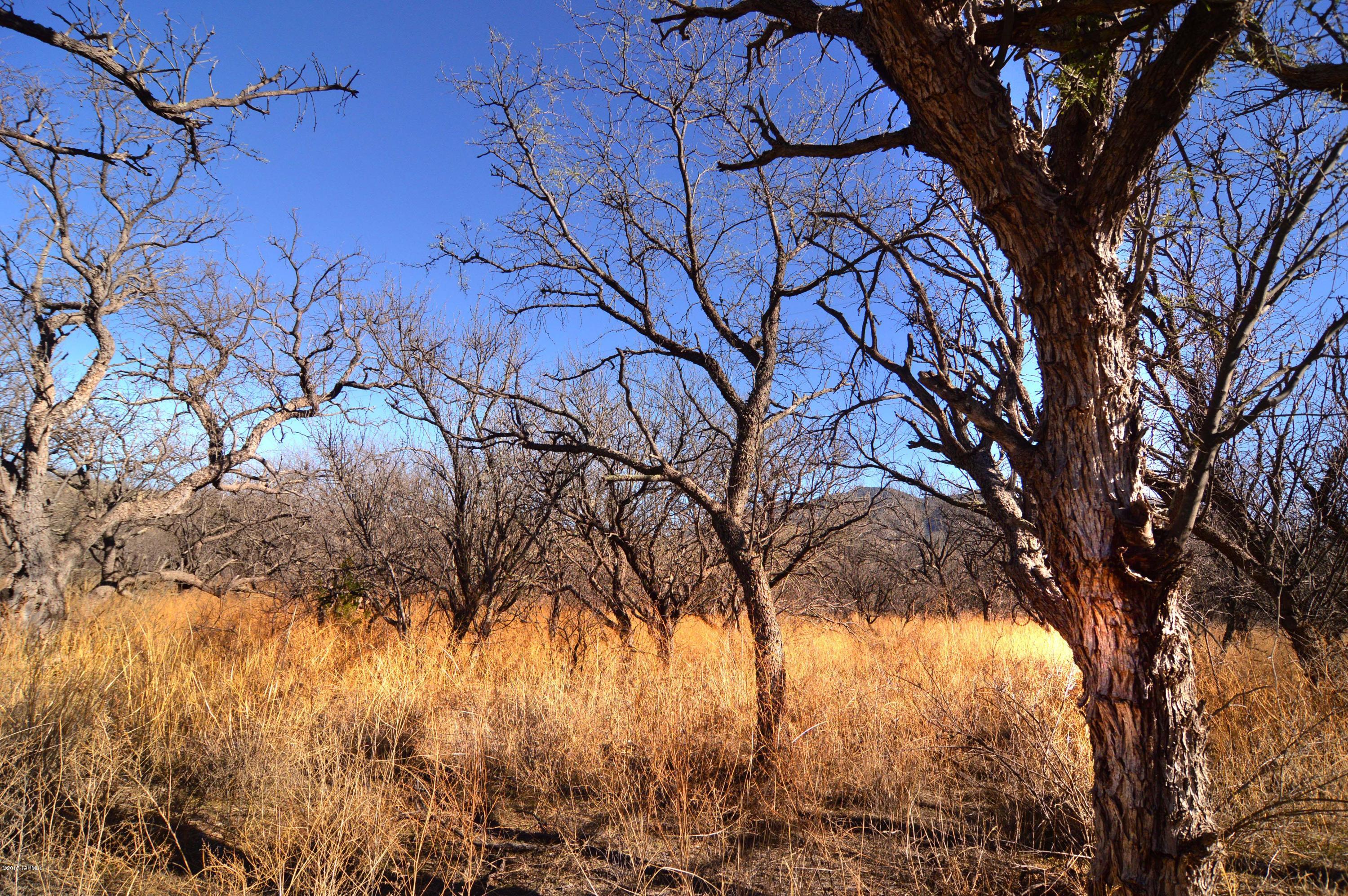 Out Of Pima County - Land