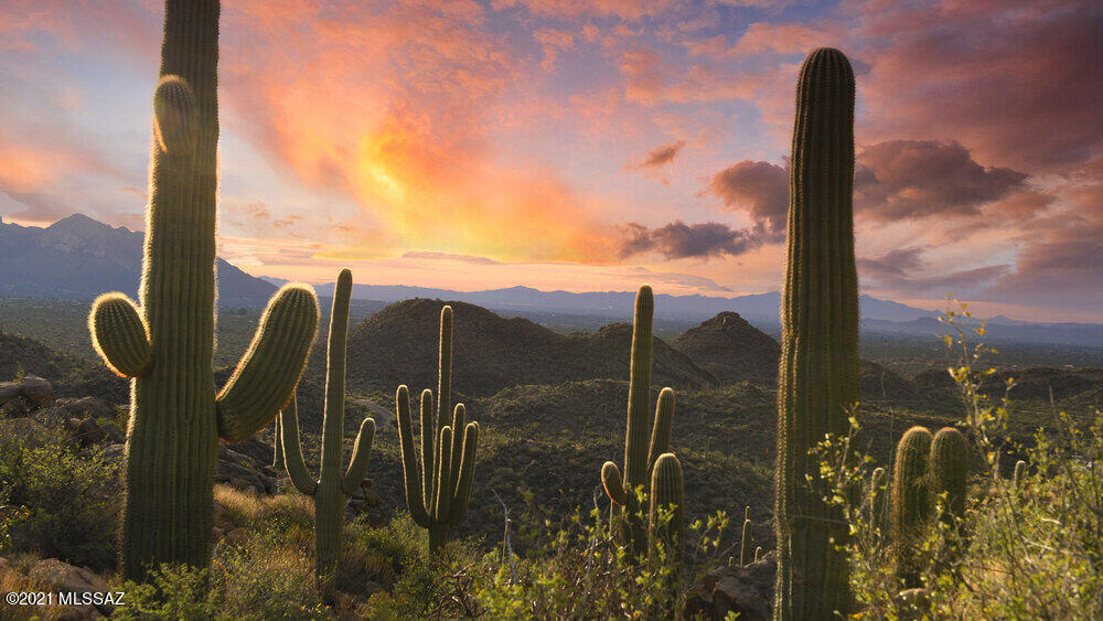 Spectacular vistas in an exclusive and lush Sonoran Desert setting.