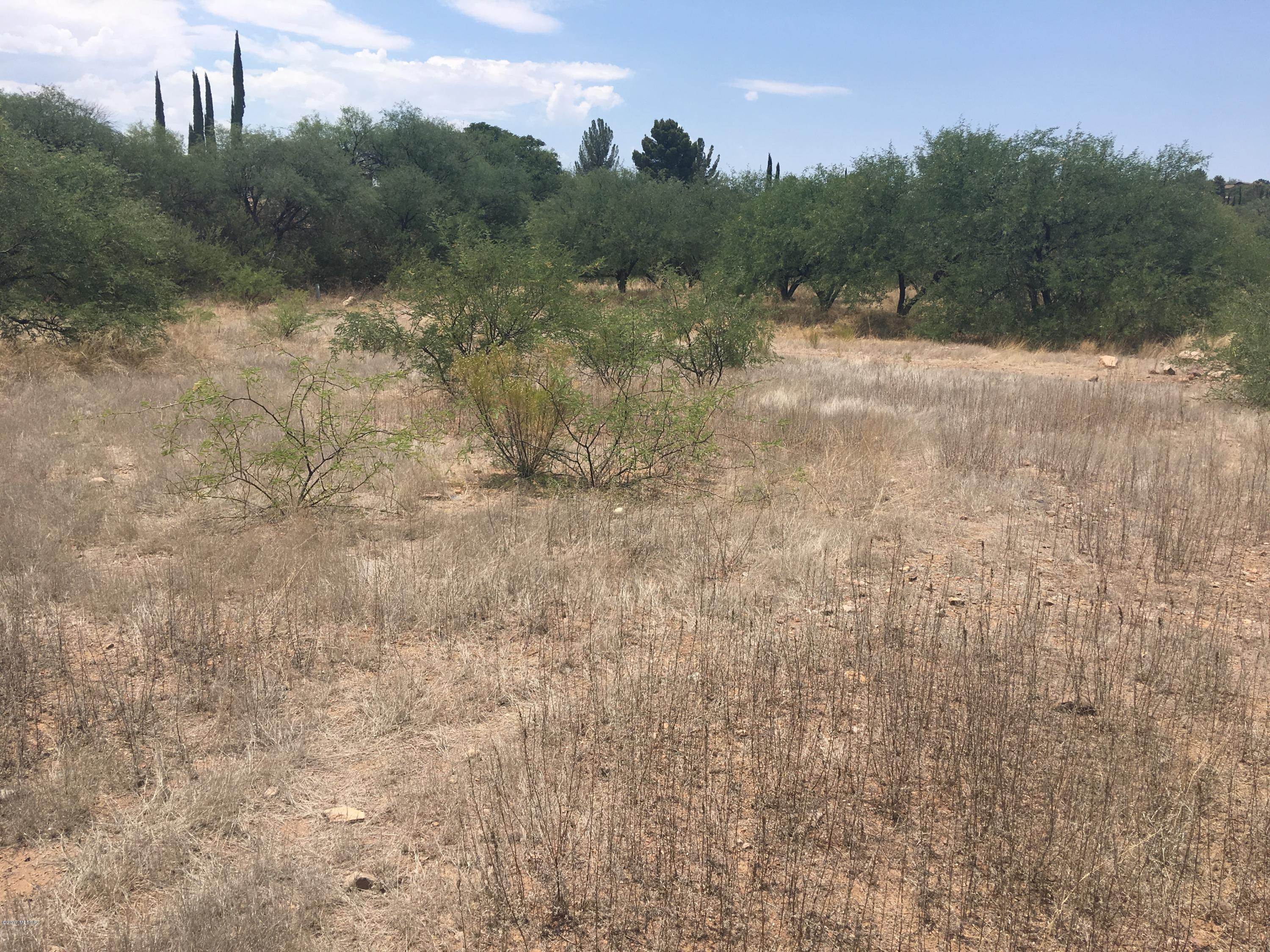 Rio Rico Unit 3 - Land