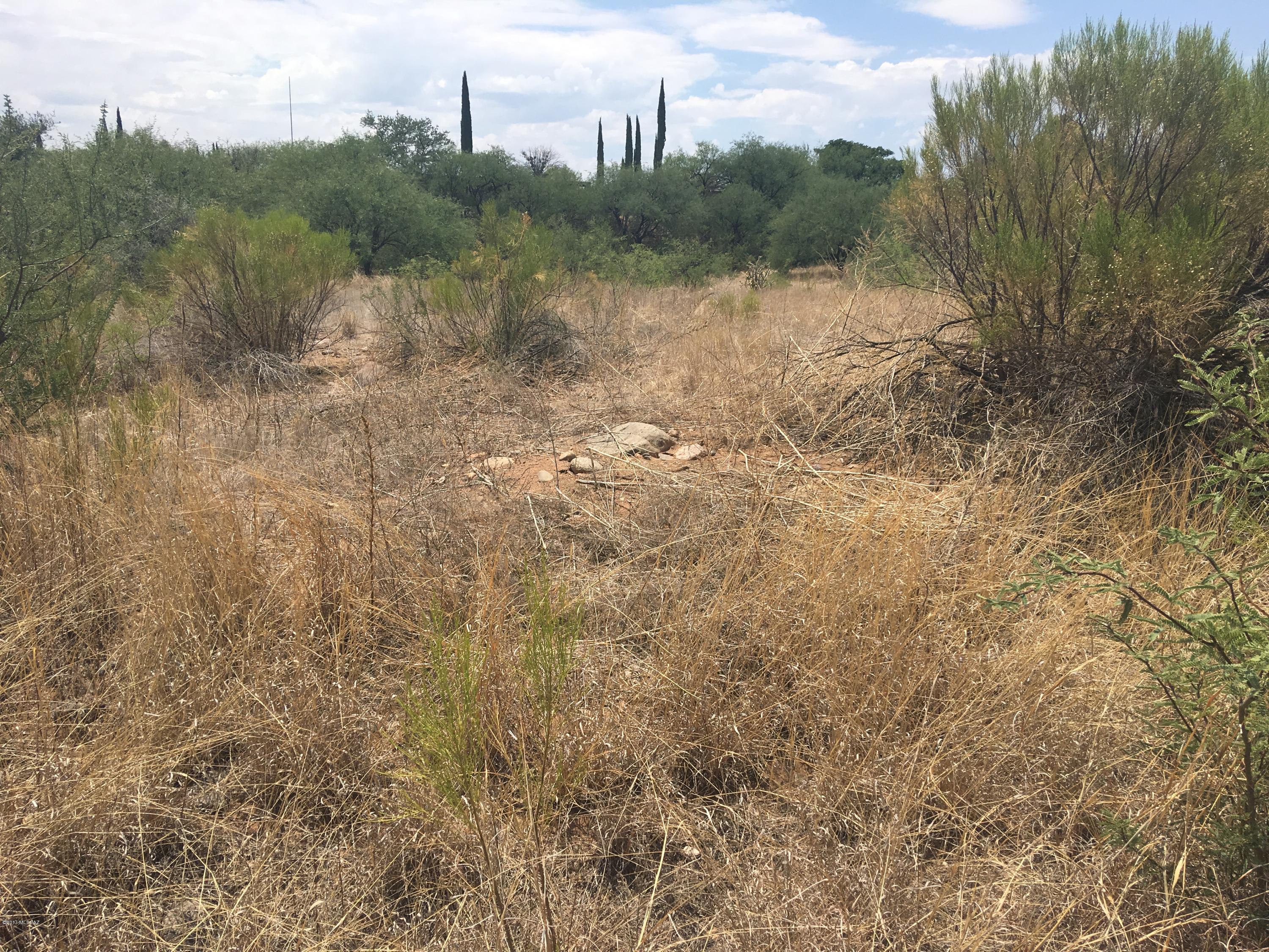 Rio Rico Unit 3 - Land