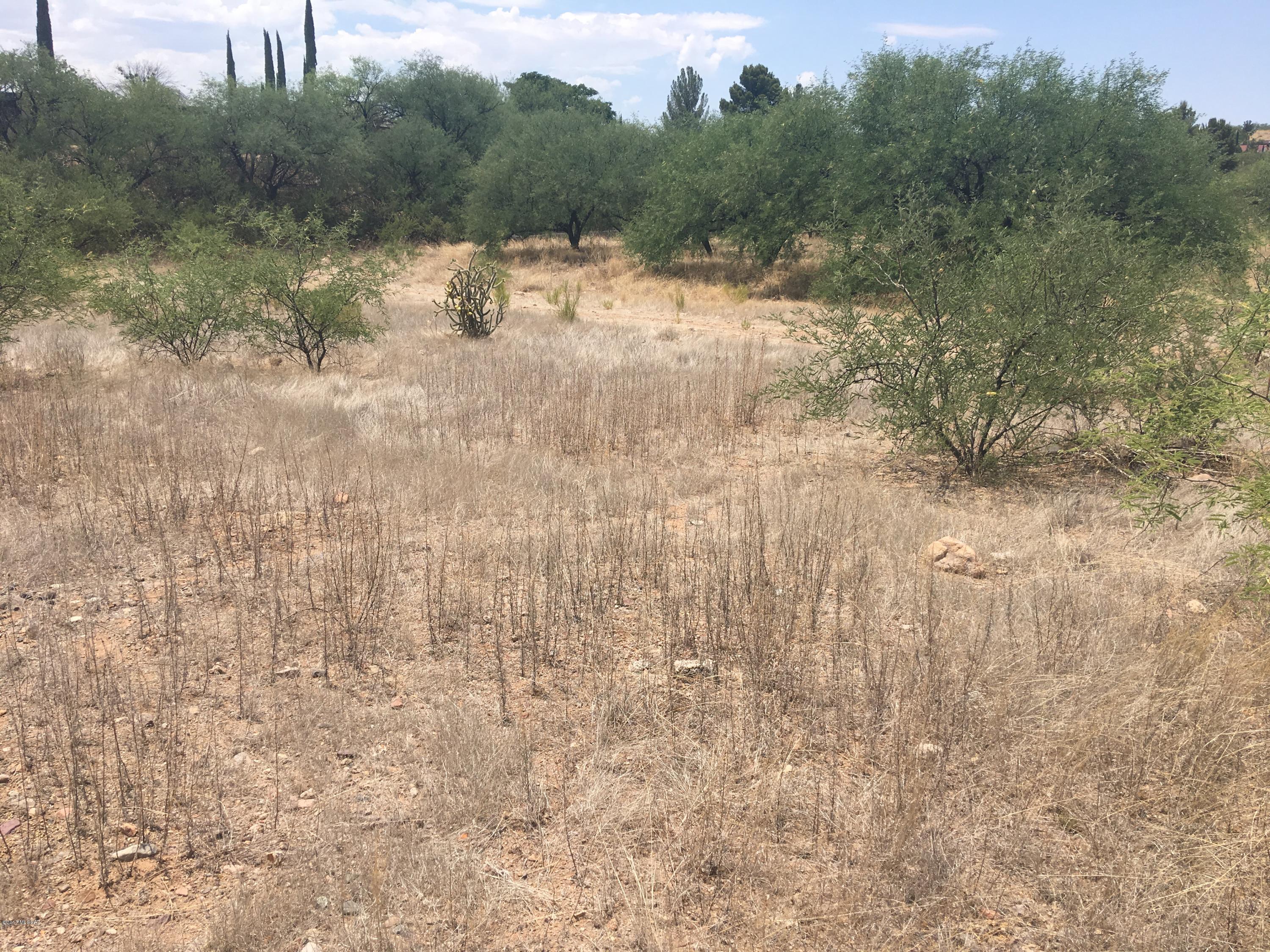 Rio Rico Unit 3 - Land