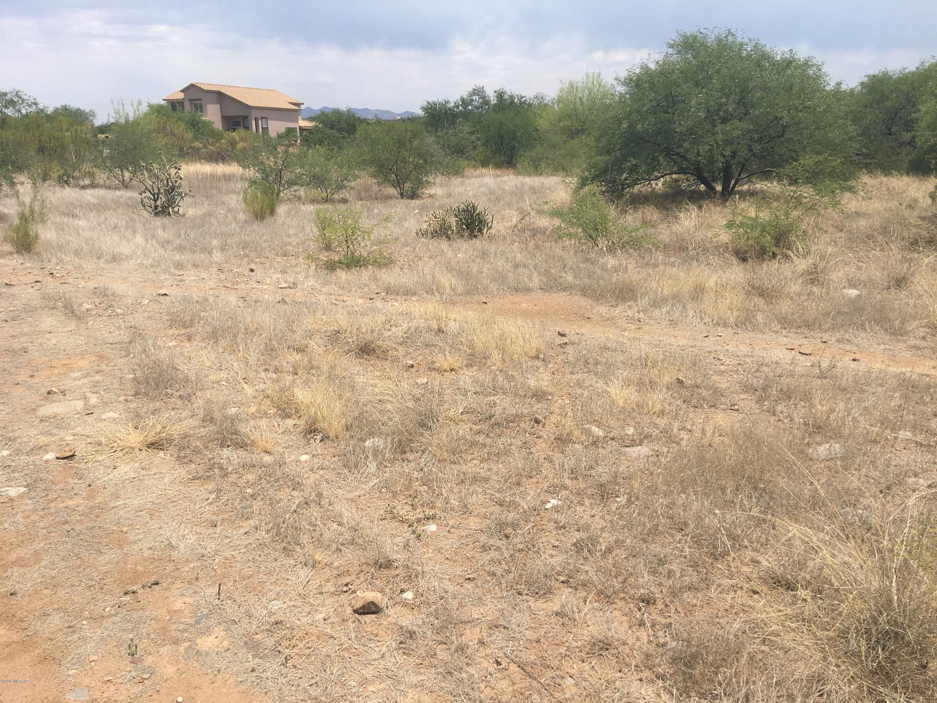 Rio Rico Unit 3 - Land