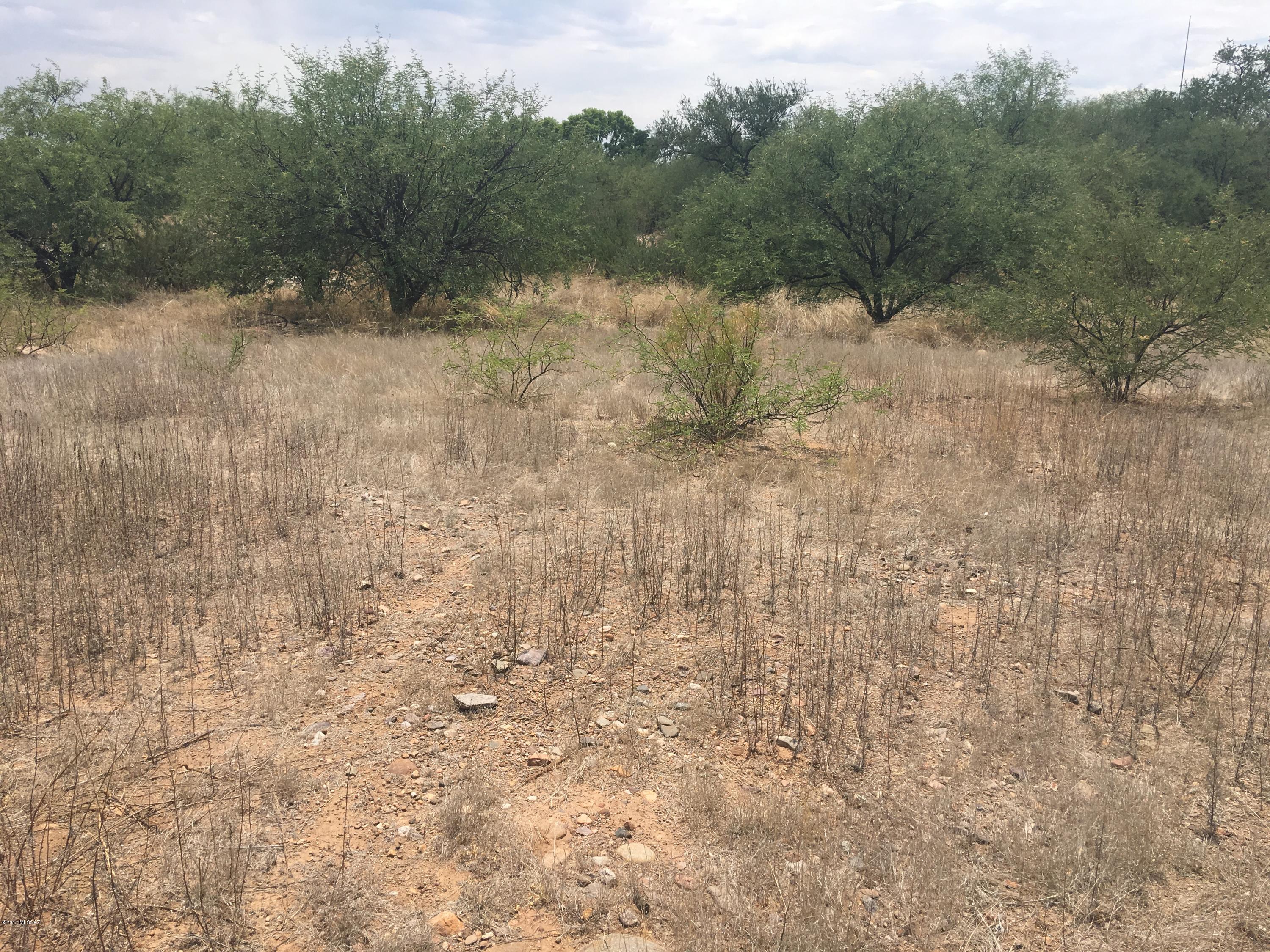 Nice level building site on .29 acres. Cul-de-sac lot on paved road and utilities to property line. Centrally located off Coatimundi and Gloriosa. Near shopping, highway, restaurants, and churches. Zoned for multi-family building.