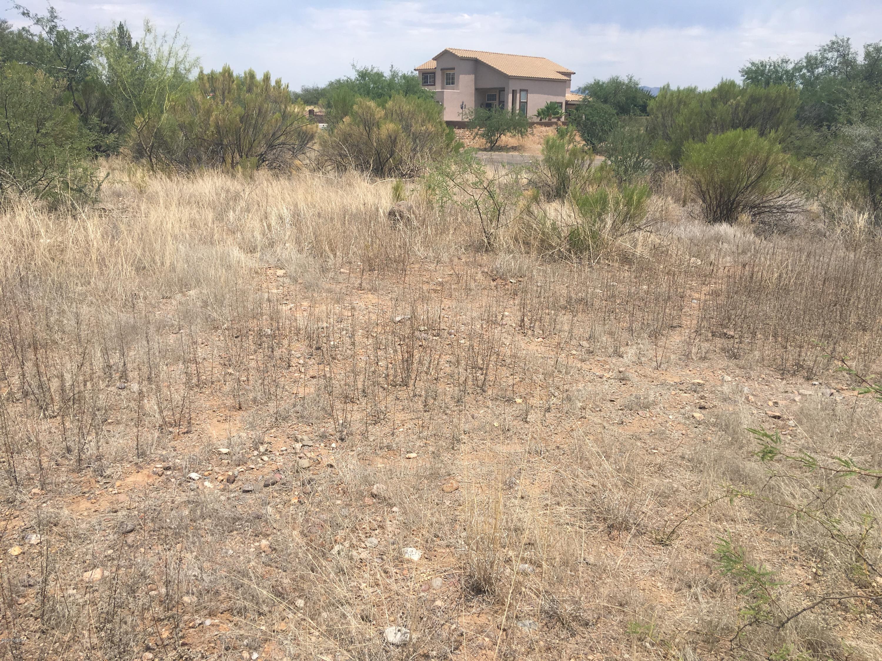 Rio Rico Unit 3 - Land