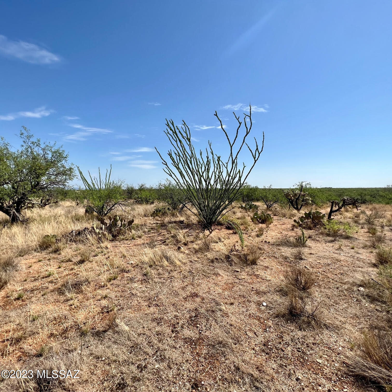 Diamond Bell Ranch - Tucson Unit 6 (1-435) - Land