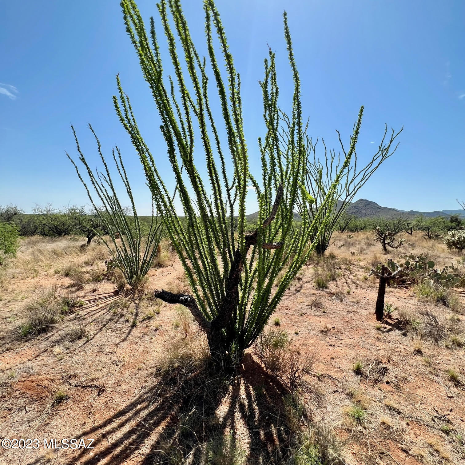 Diamond Bell Ranch - Tucson Unit 6 (1-435) - Land