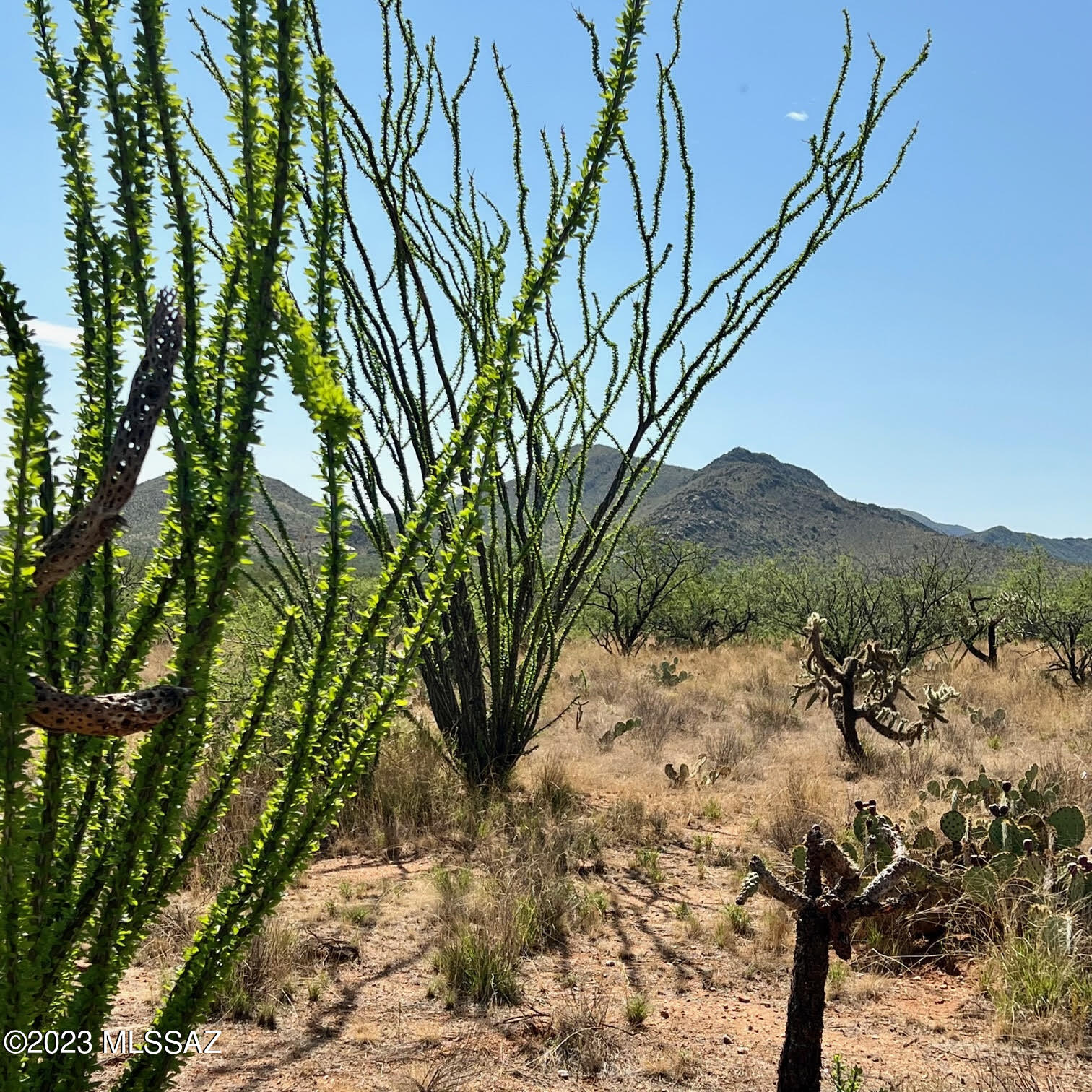 Diamond Bell Ranch - Tucson Unit 6 (1-435) - Land
