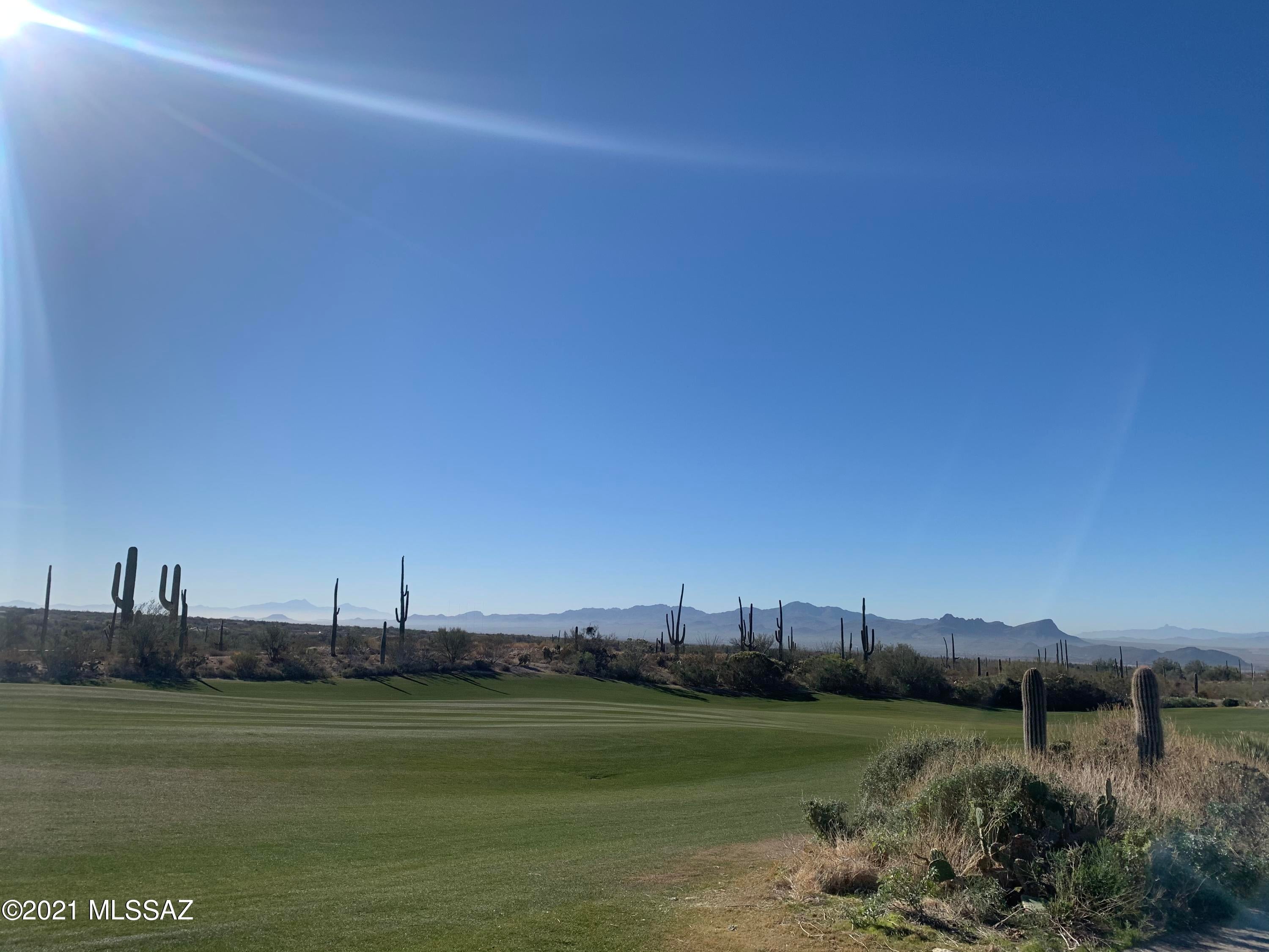 Dove Mountain Resort (1-153) - Land