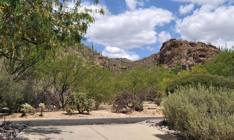 Ventana Canyon Estates (1-63) - Residential