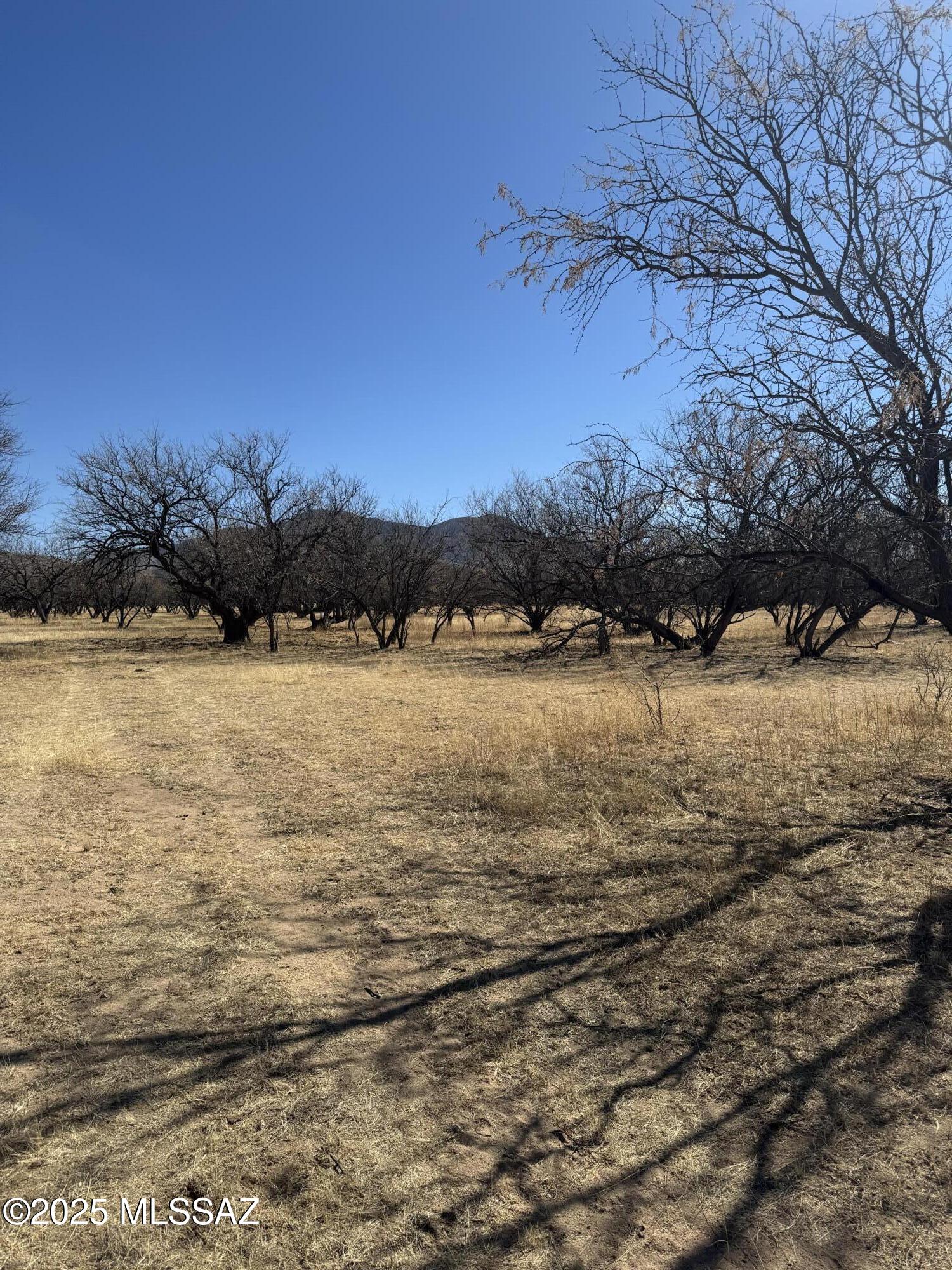 Wonderful opportunity to own a prime Cul-de-sac lot in the Kino Springs community! Perfect lot to build your retirement home off-grid home, tiny home, or a home builder! Locate water company can service the lot, sewer can be available, and electric is close by. Wonderful views of the mountains surrounded by a serene environment. Seller willing to include parcel 150-02-317 for discounted price!