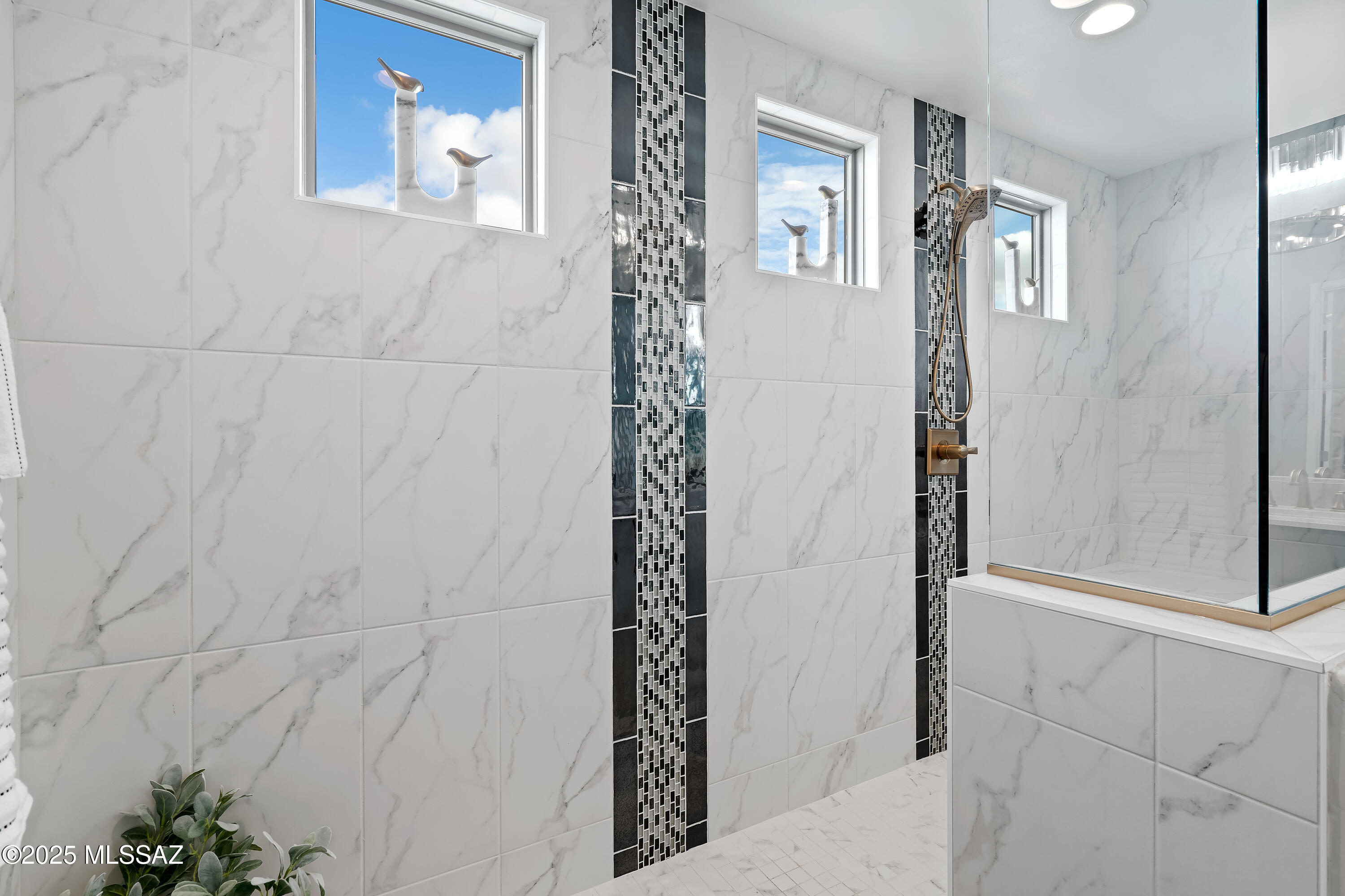 Saddlebrooke Ranch - Residential