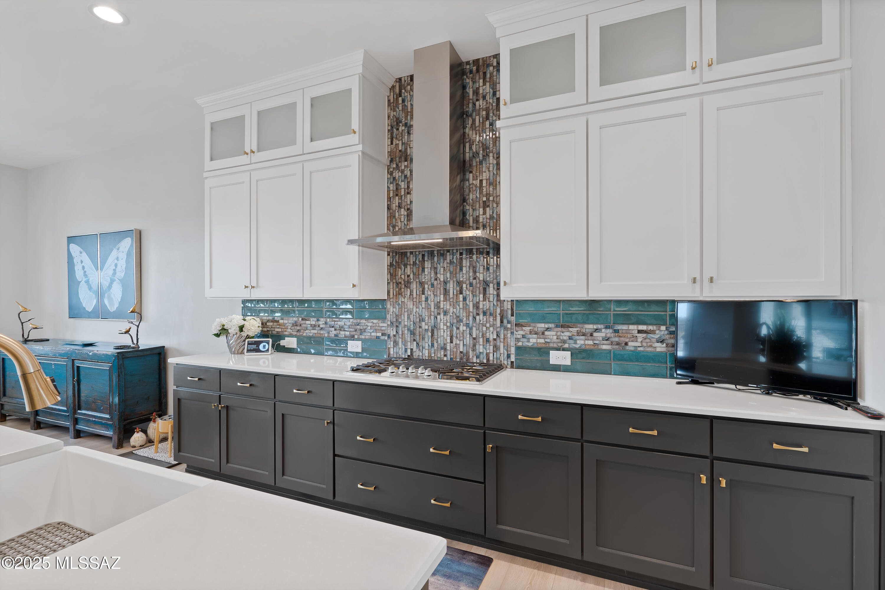 Saddlebrooke Ranch - Residential