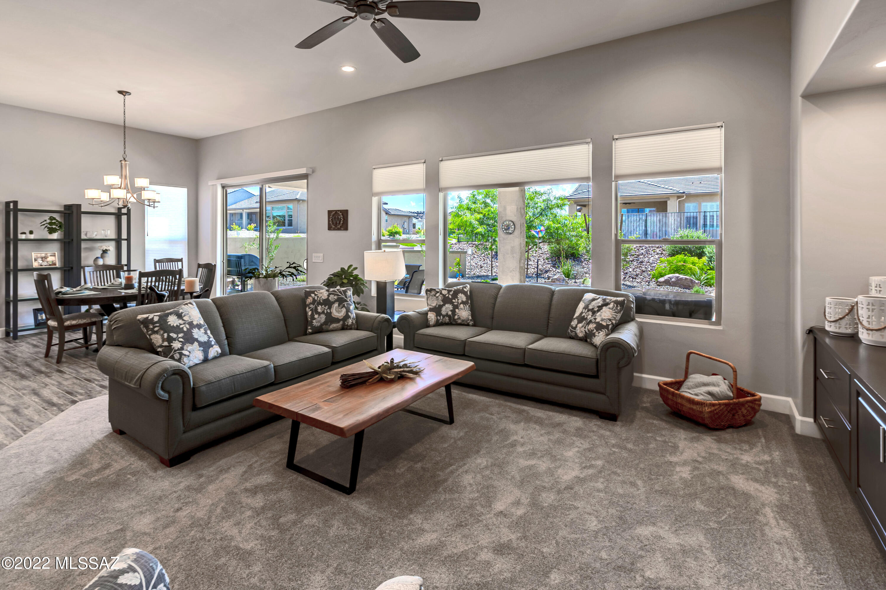 Saddlebrooke Ranch - Residential