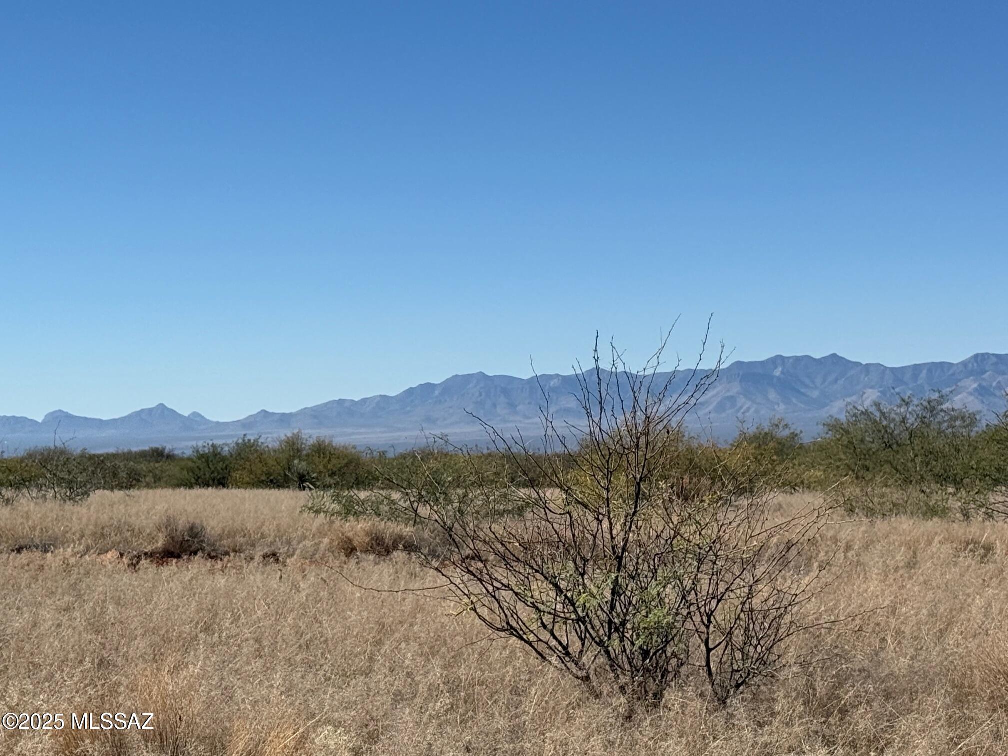 Dragoon Mountain Ranch - Land