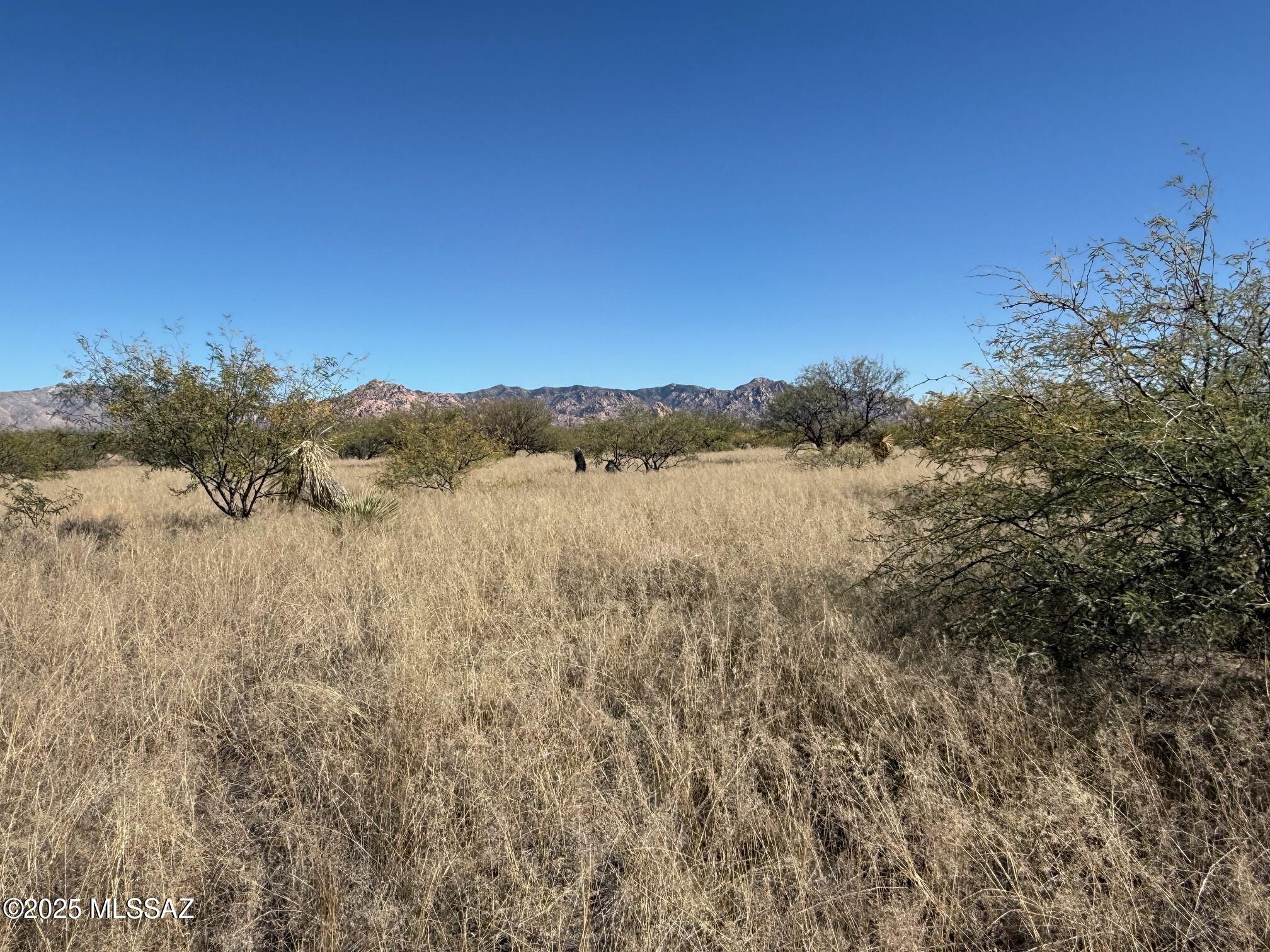 Dragoon Mountain Ranch - Land