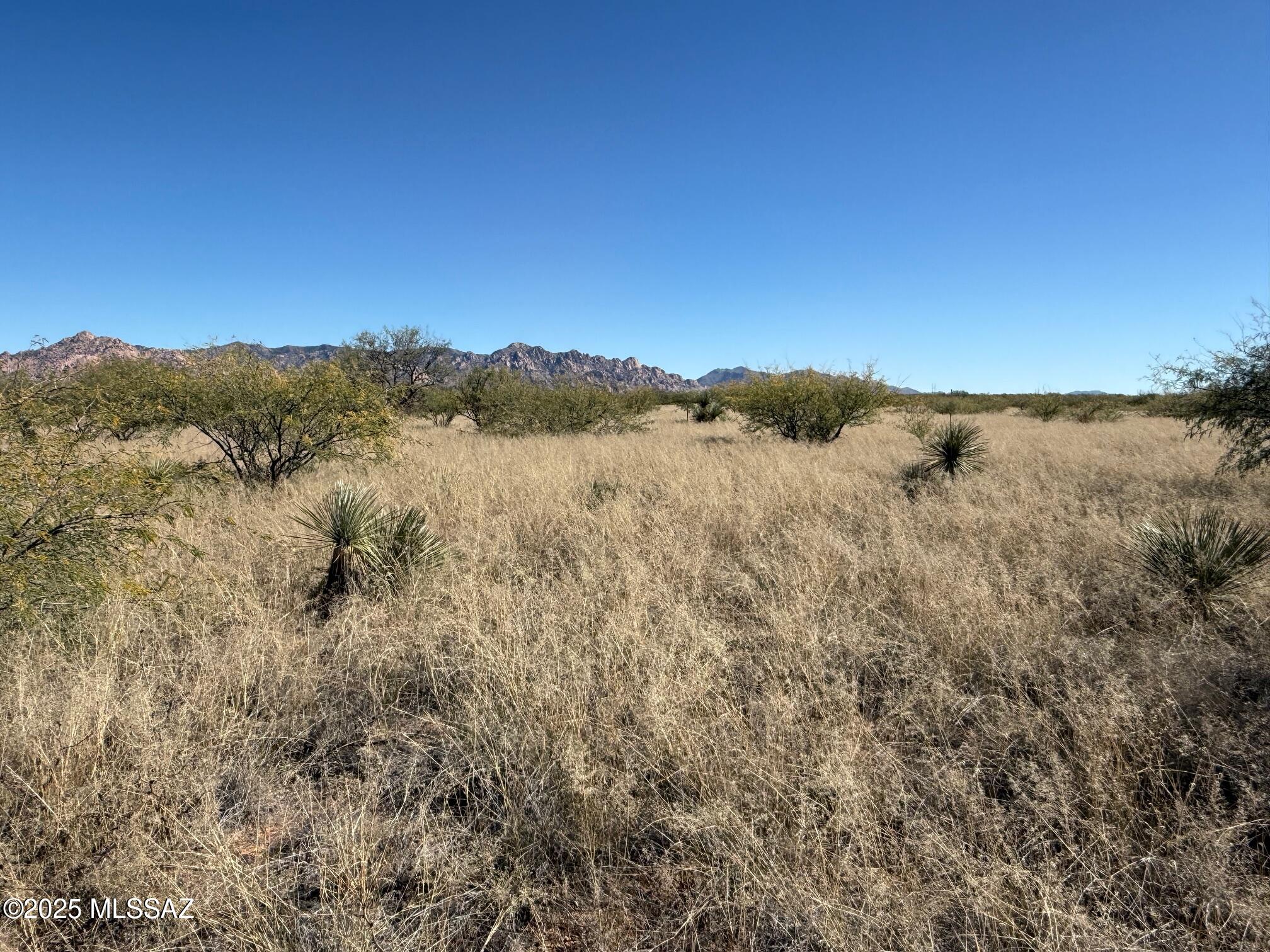 Dragoon Mountain Ranch - Land