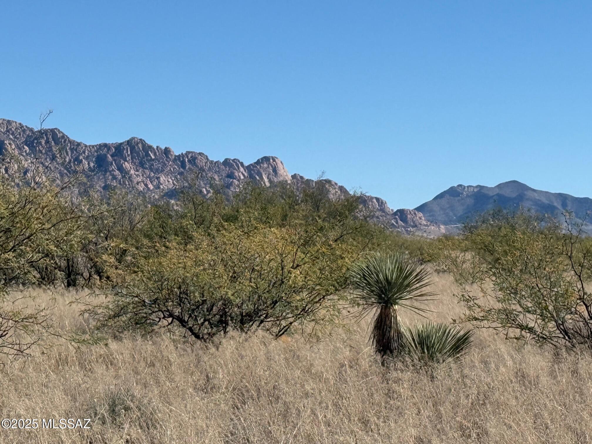 Dragoon Mountain Ranch - Land