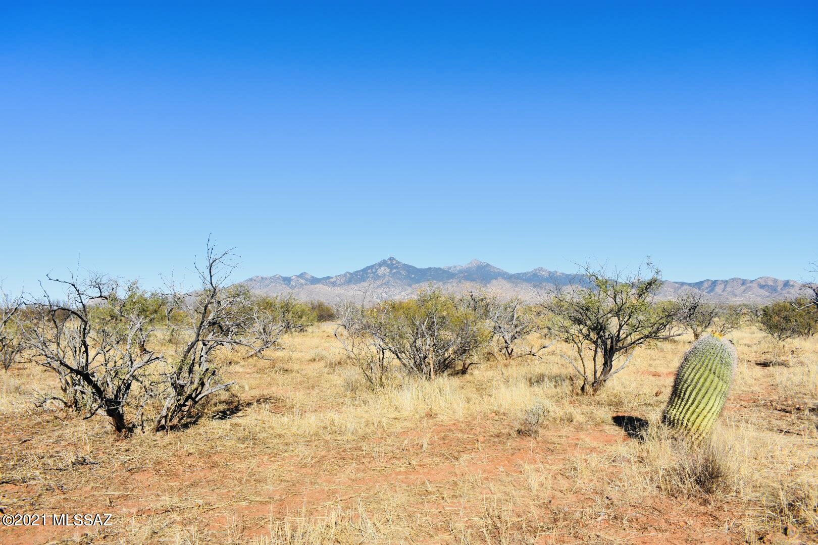 Rio Rico - Land
