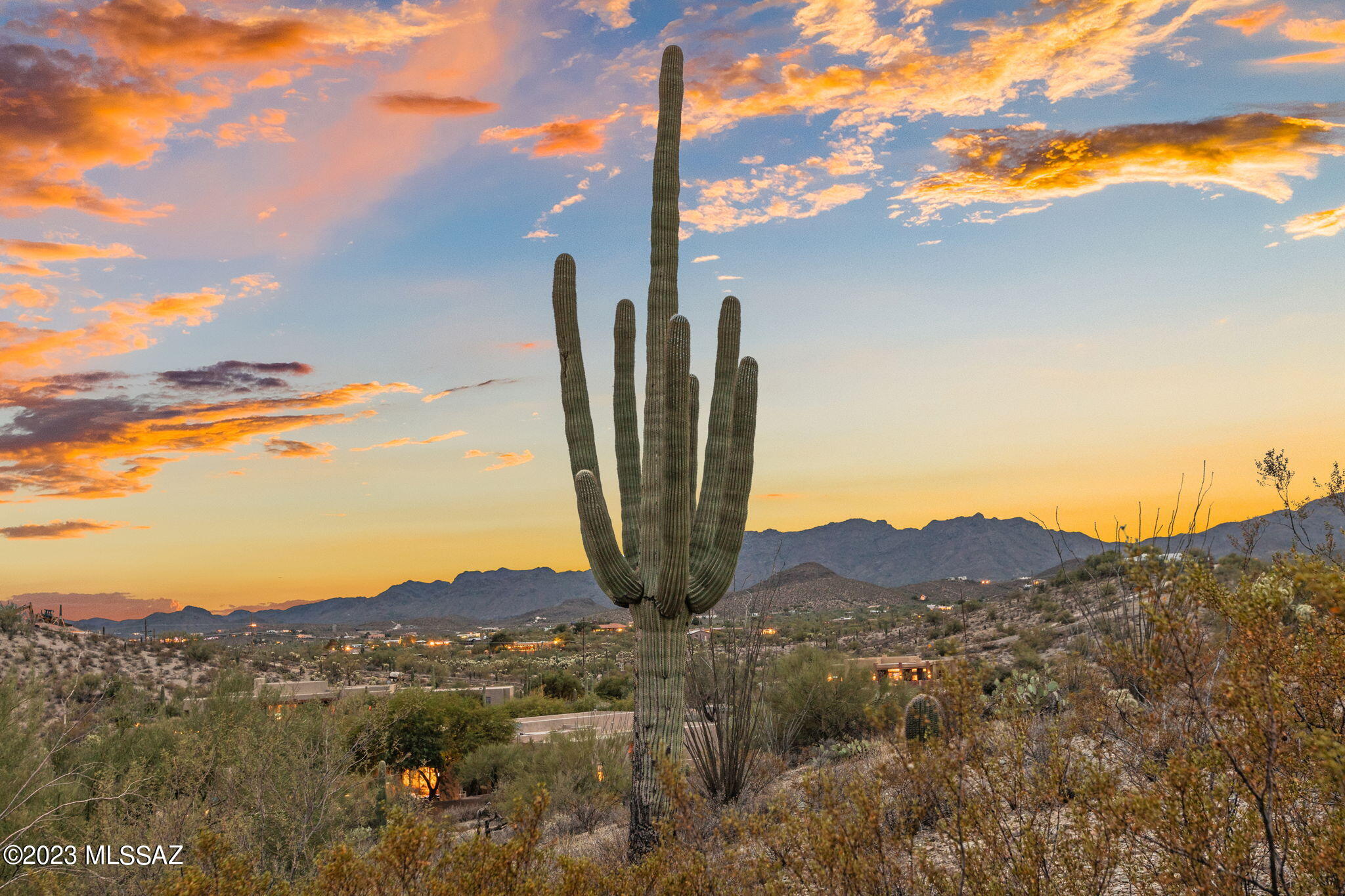 Tucson Mountain Reserve (1-124) - Residential