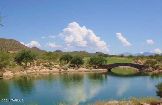 Dos Lagos at Dove Mountain (1-91) - Residential