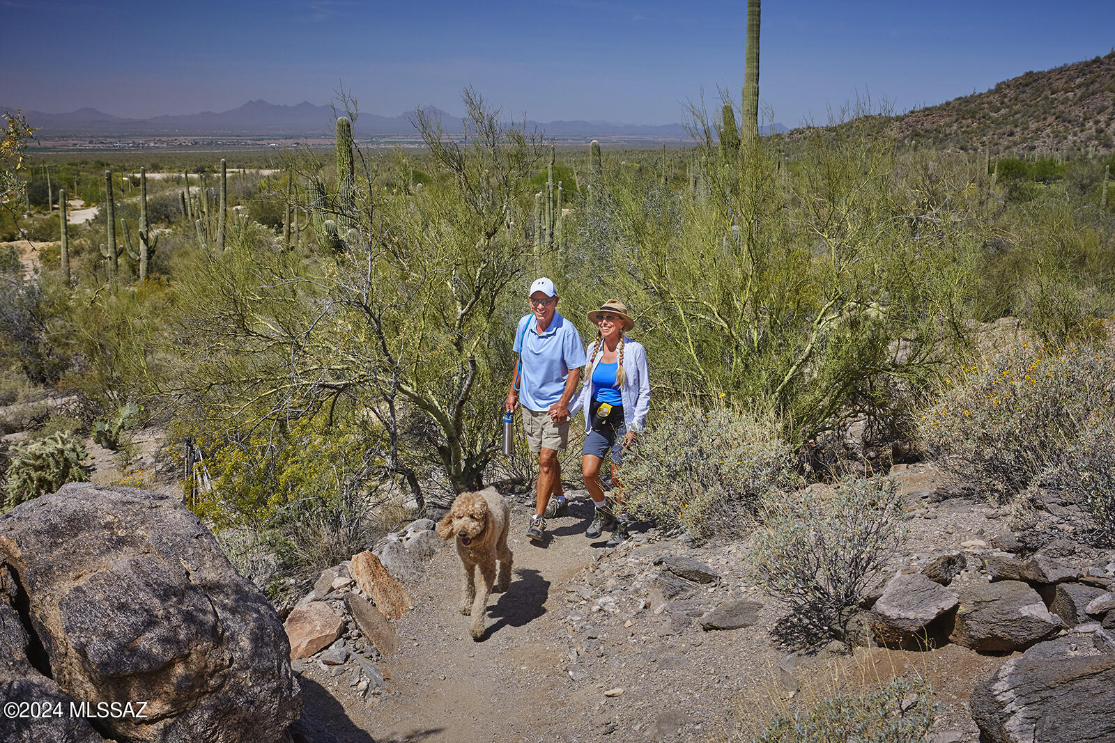 Boulder Bridge Pass III At Dove Mountain SQ20143000307 - Residential