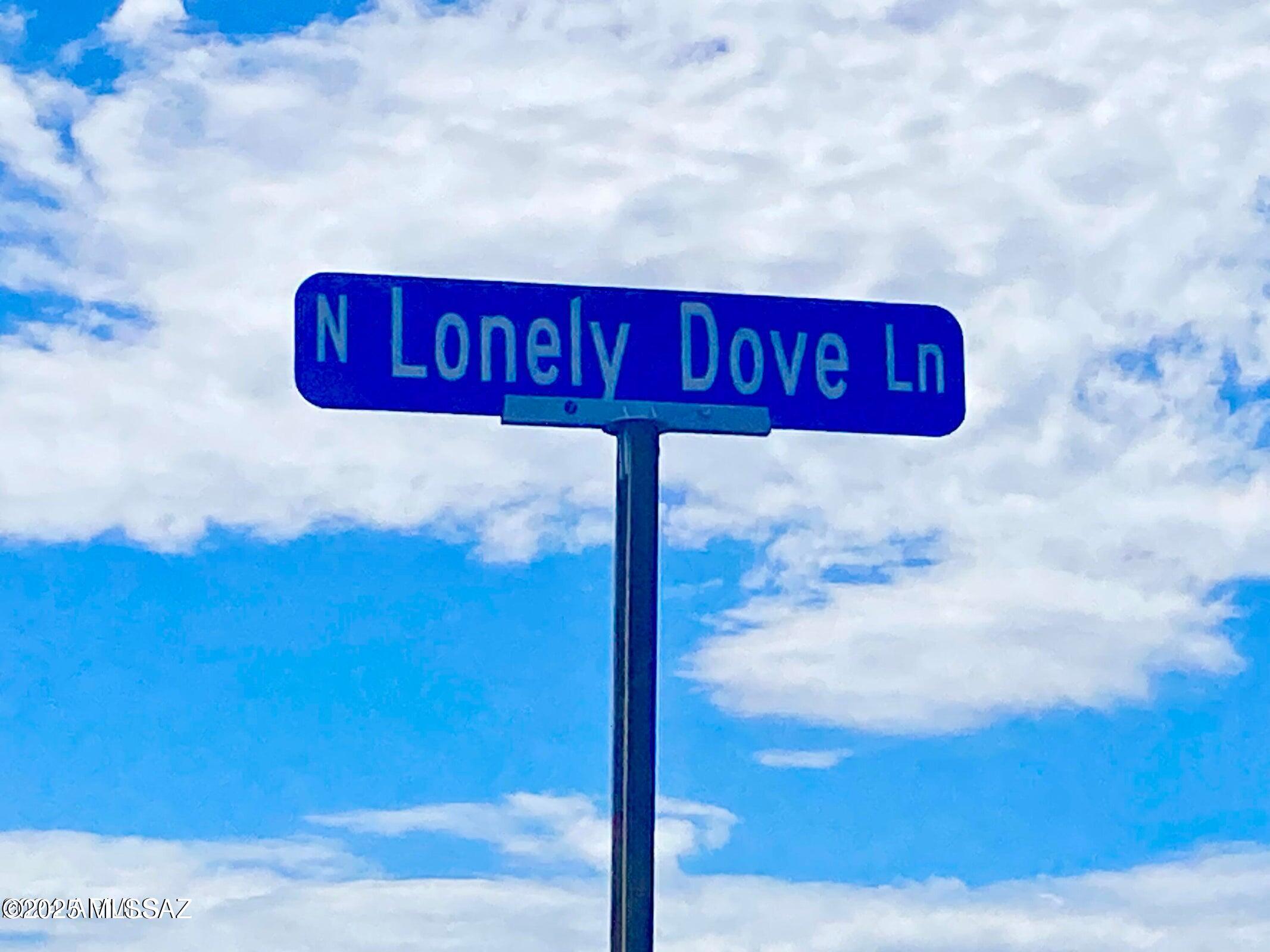 Out Of Pima County - Land