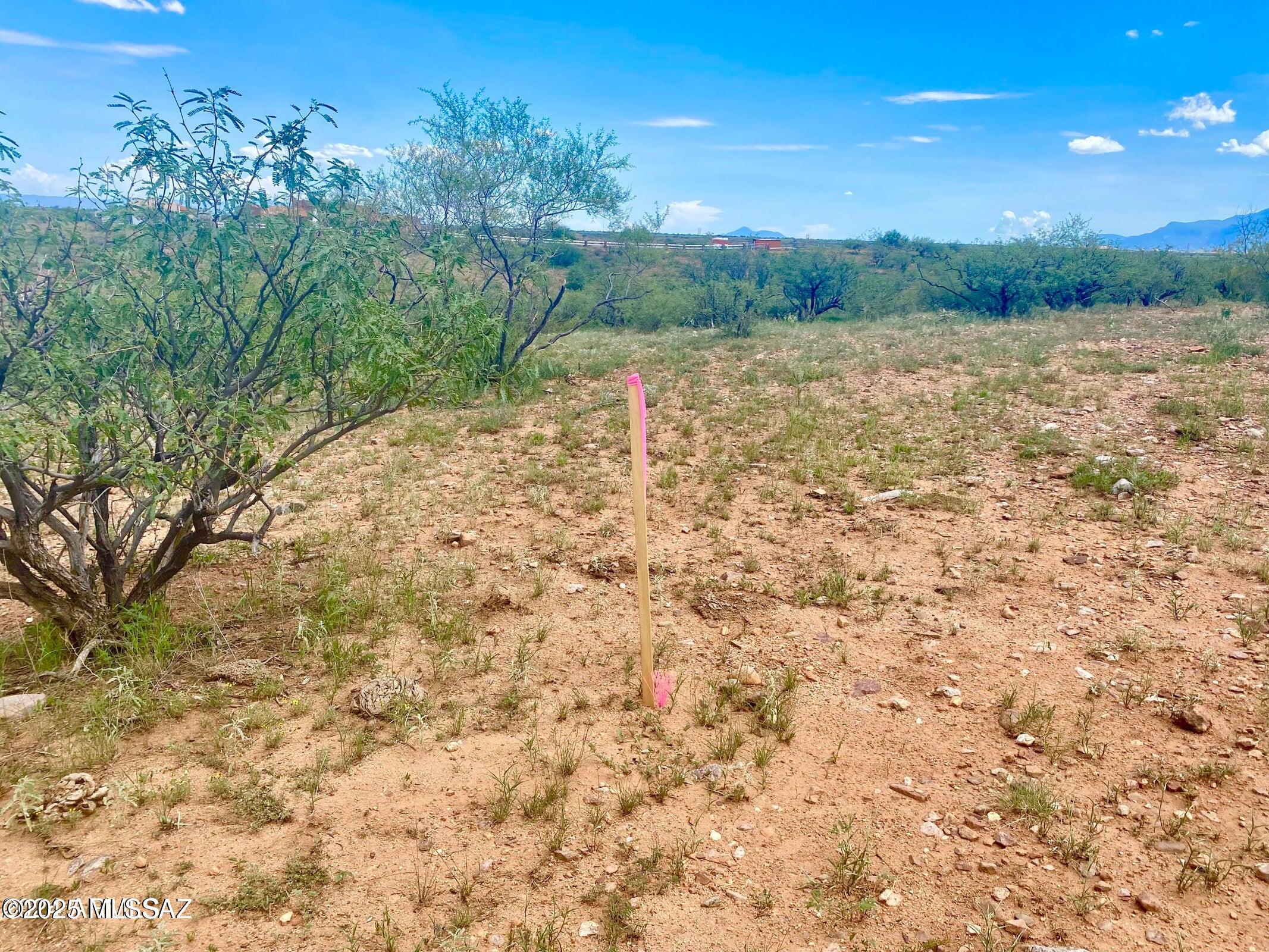 Out Of Pima County - Land