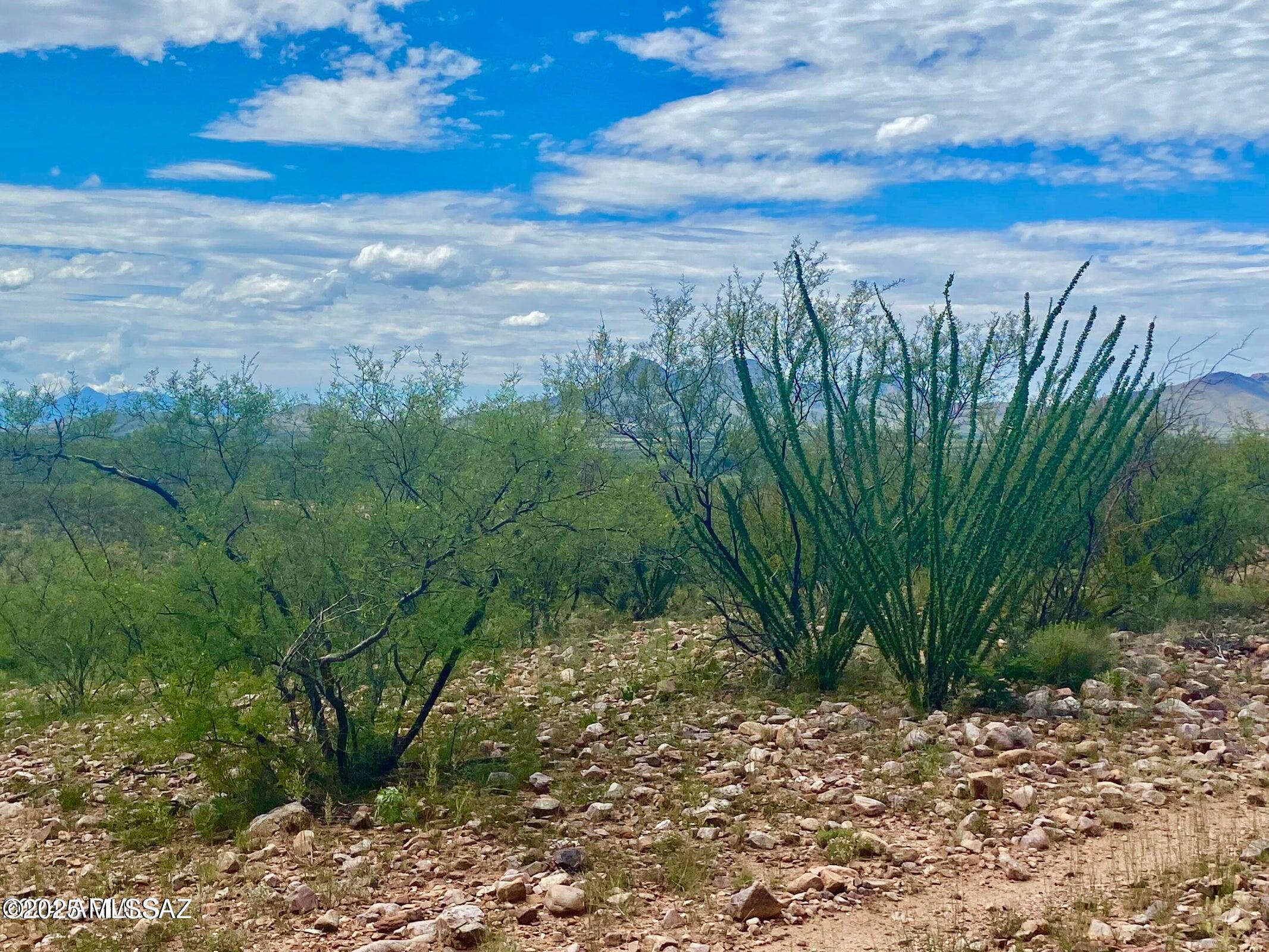 Out Of Pima County - Land