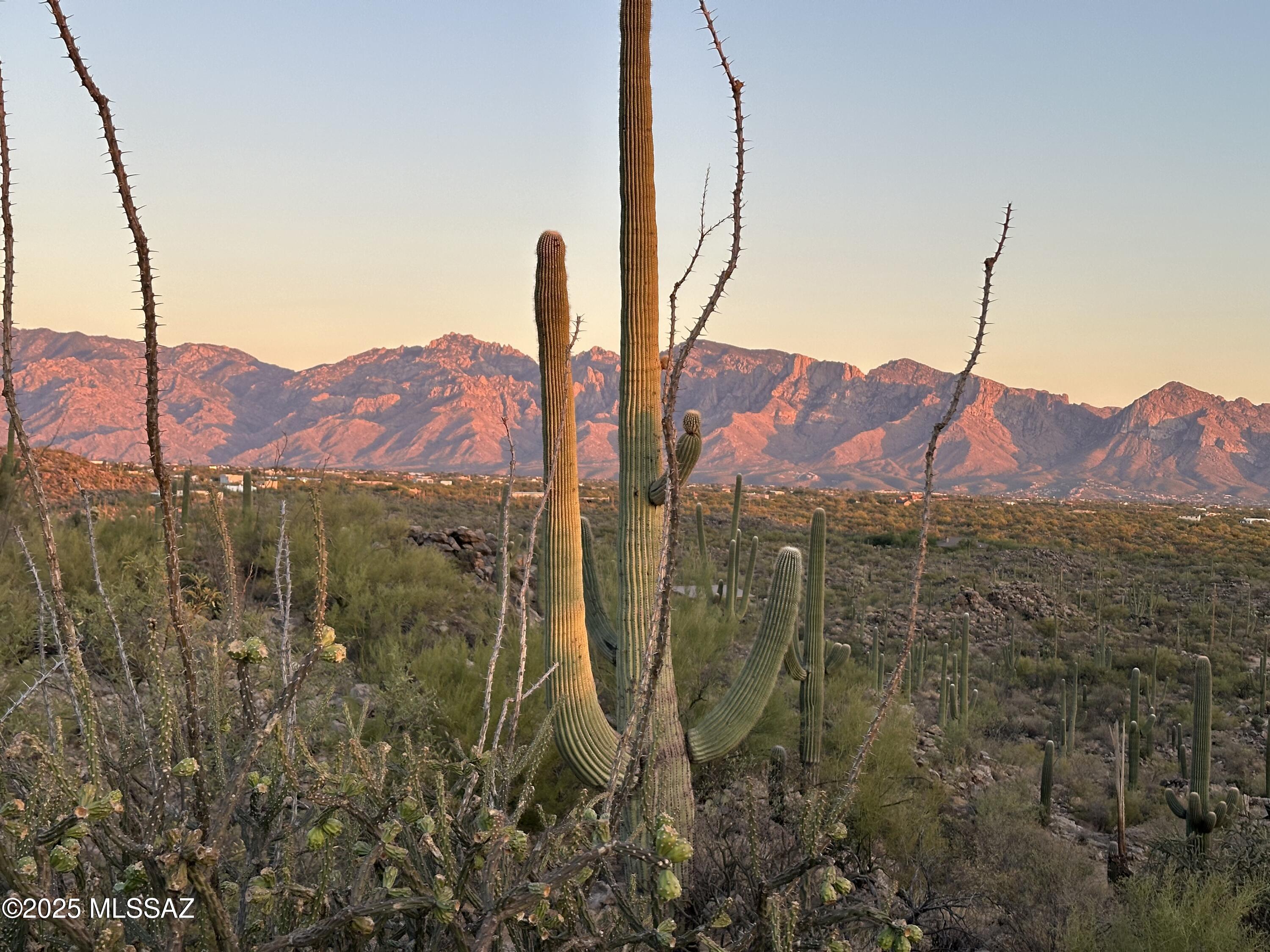 Saguaro Ranch South Amended - Residential