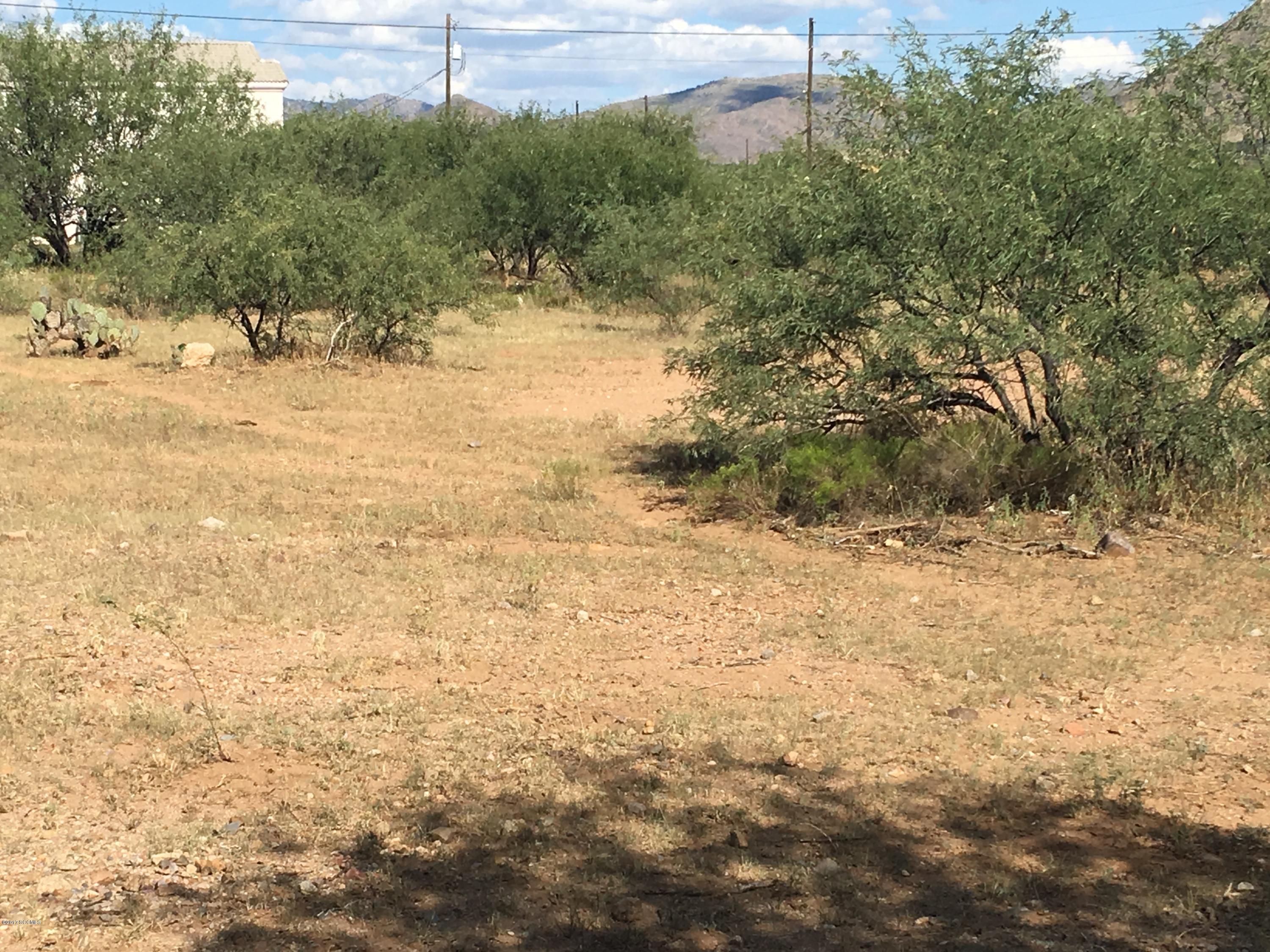 Rio Rico Villas 12 - Land
