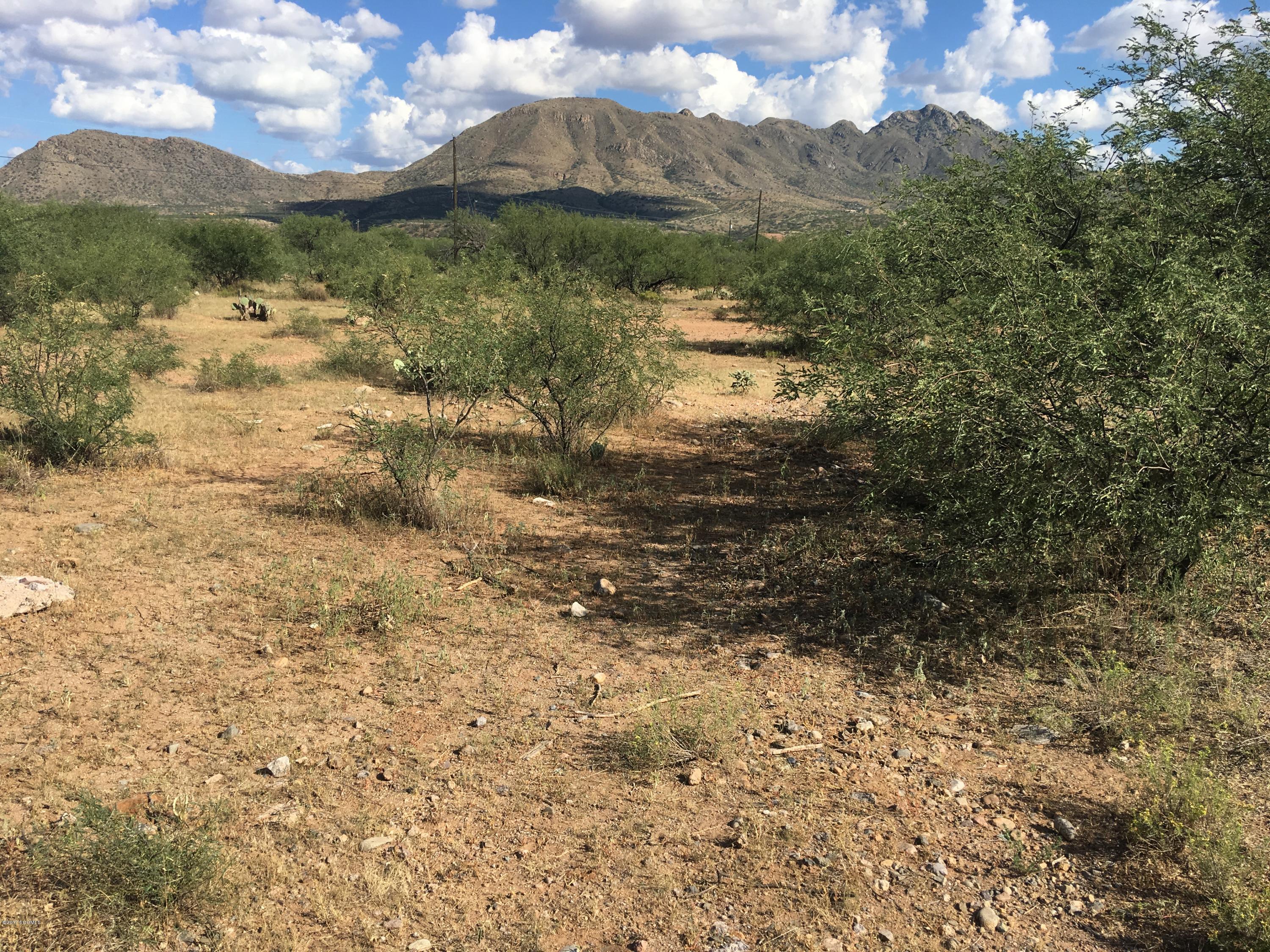 Rio Rico Villas 12 - Land