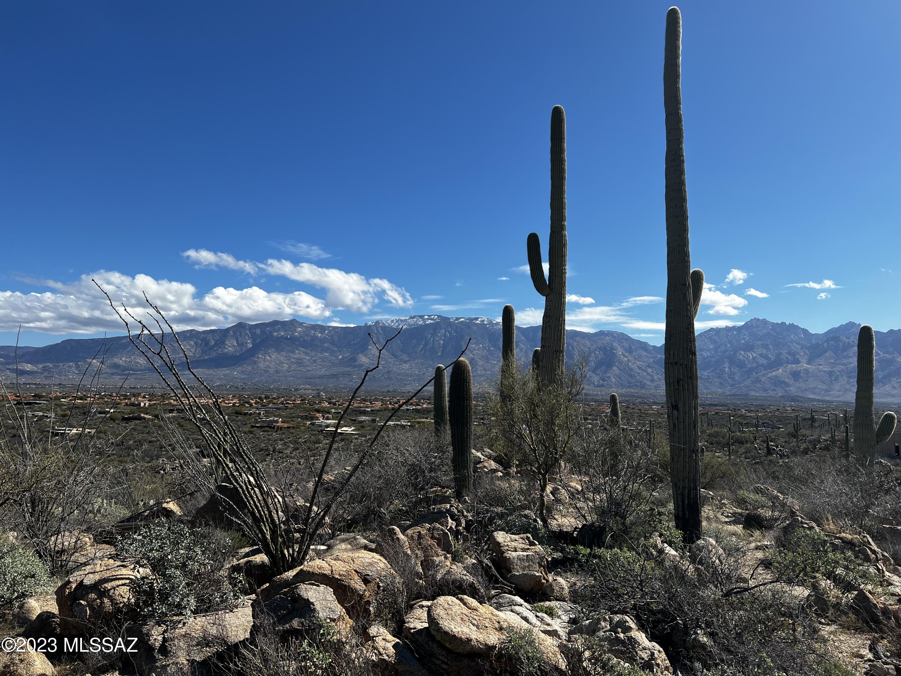 Stone Canyon VIII (486-602) - Land