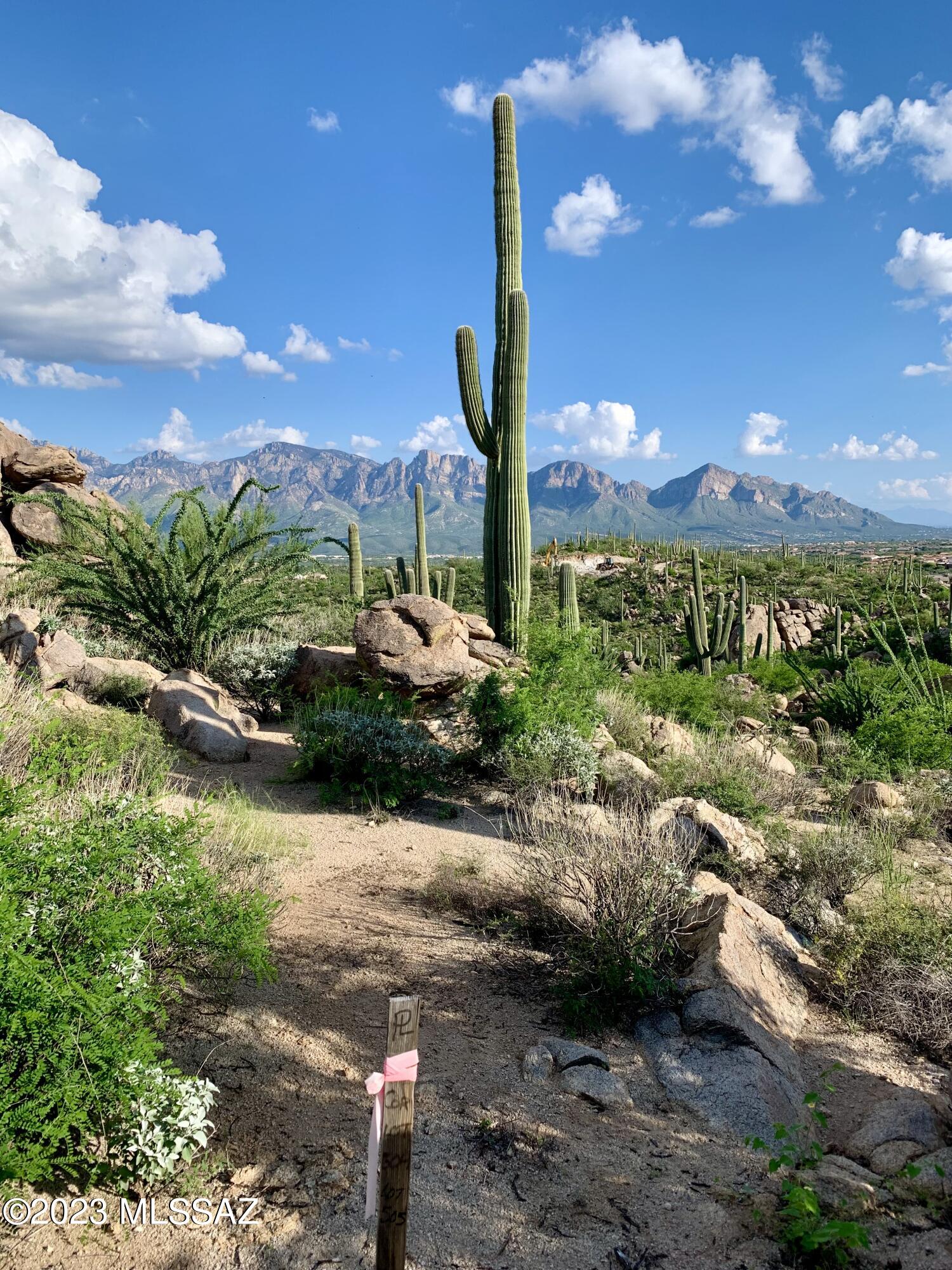 Stone Canyon VIII (486-602) - Land