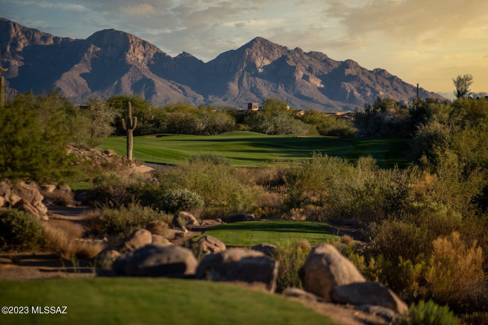 Stone Canyon VIII (486-602) - Land