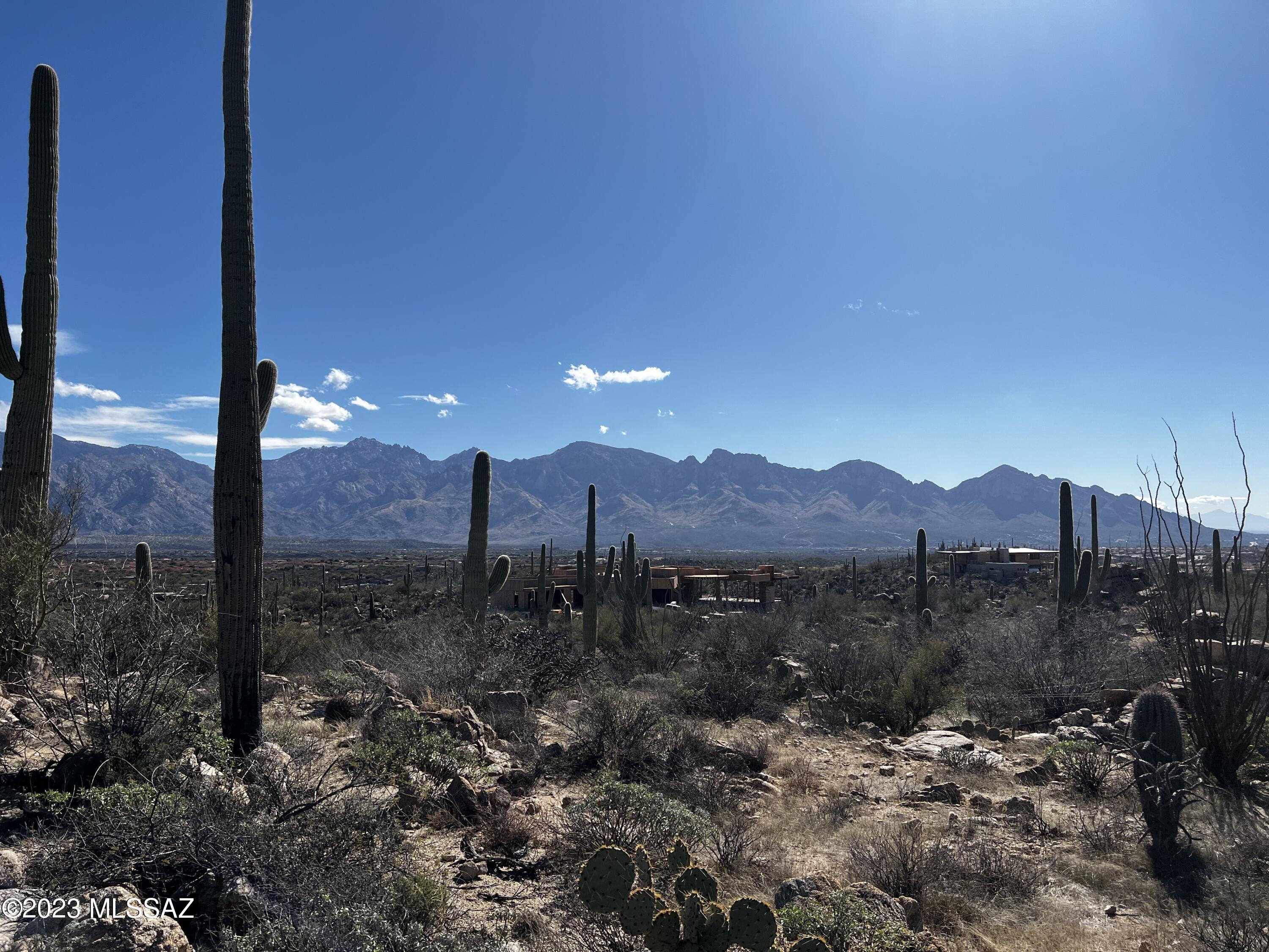 Stone Canyon VIII (486-602) - Land