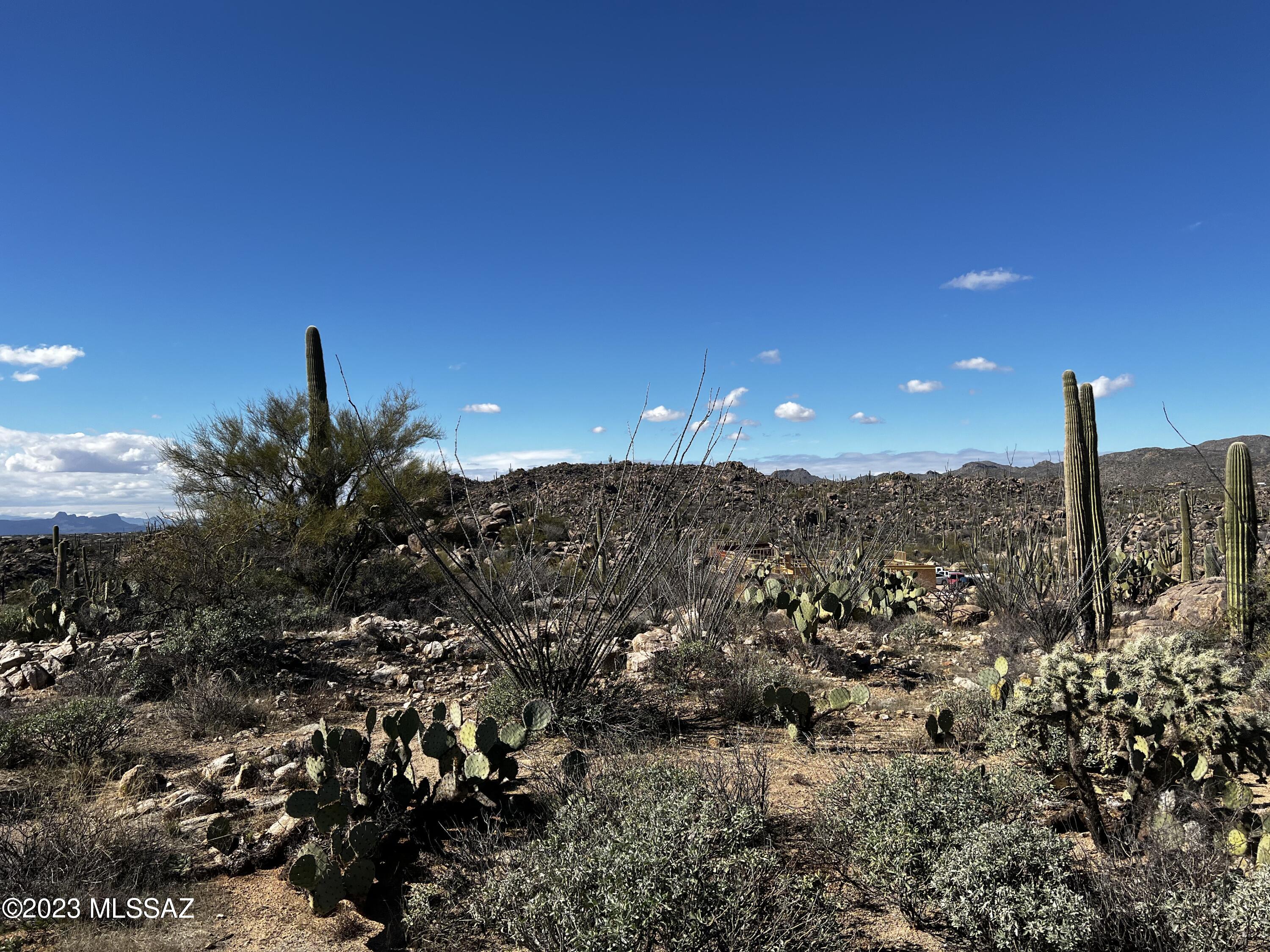 Stone Canyon VIII (486-602) - Land