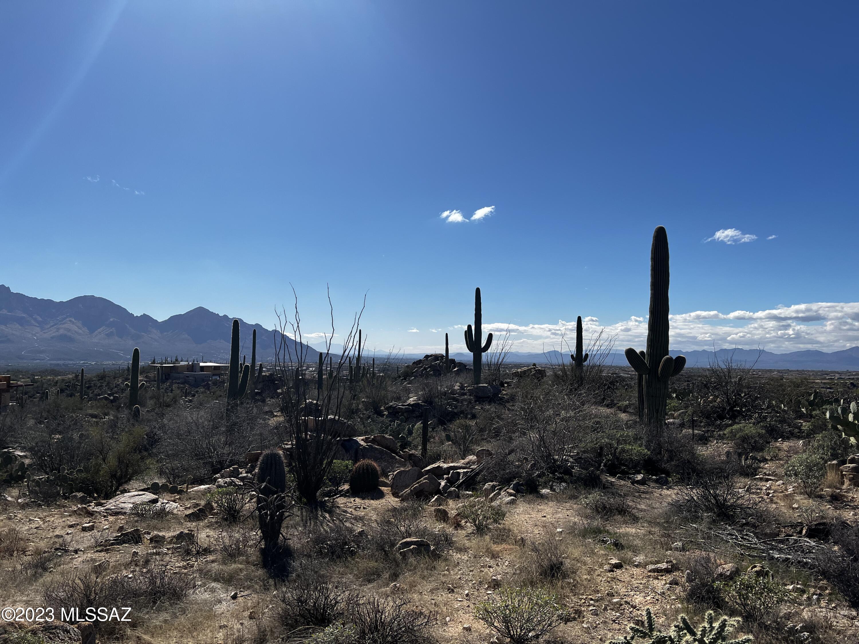 Stone Canyon VIII (486-602) - Land