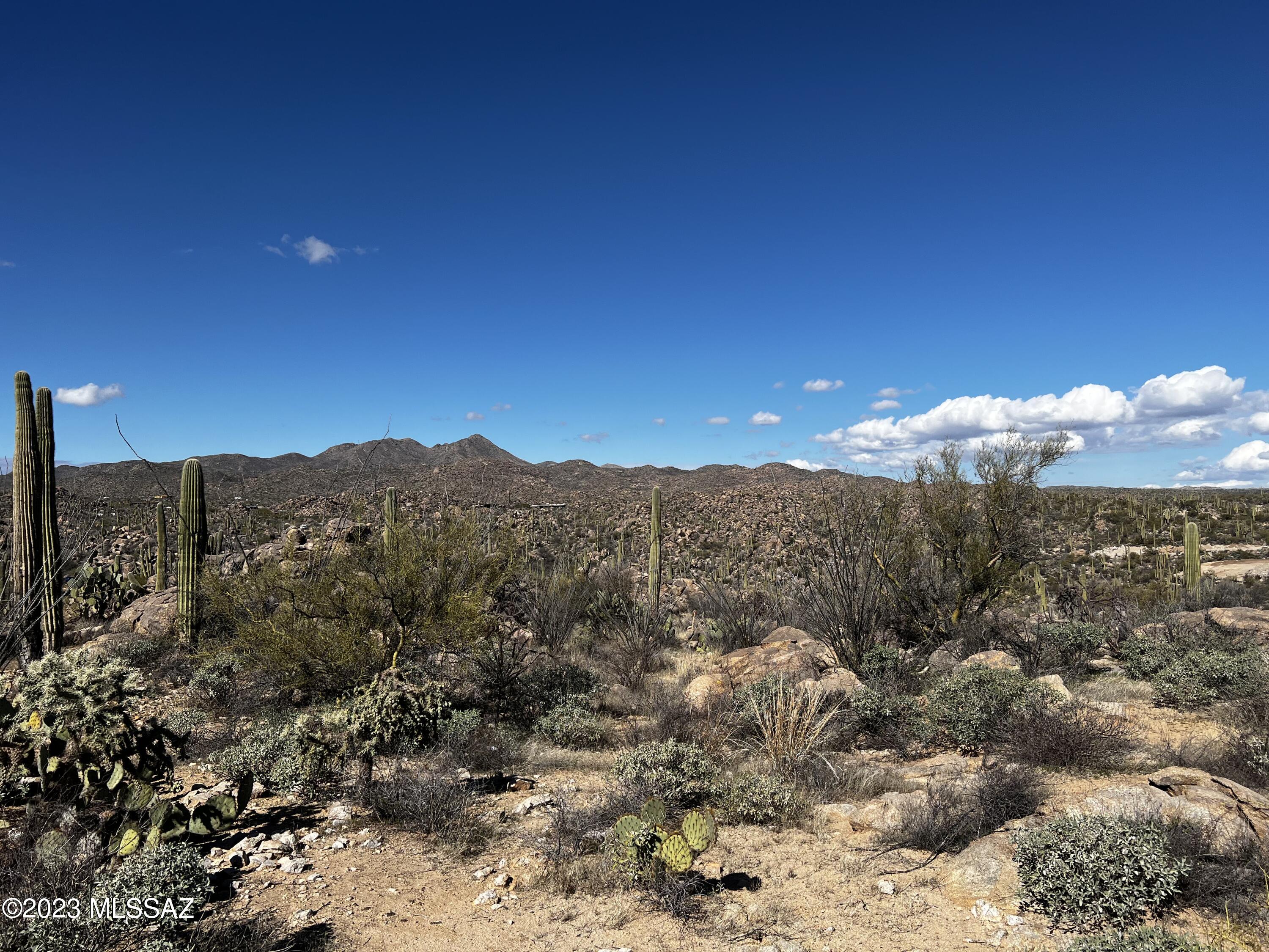 Stone Canyon VIII (486-602) - Land